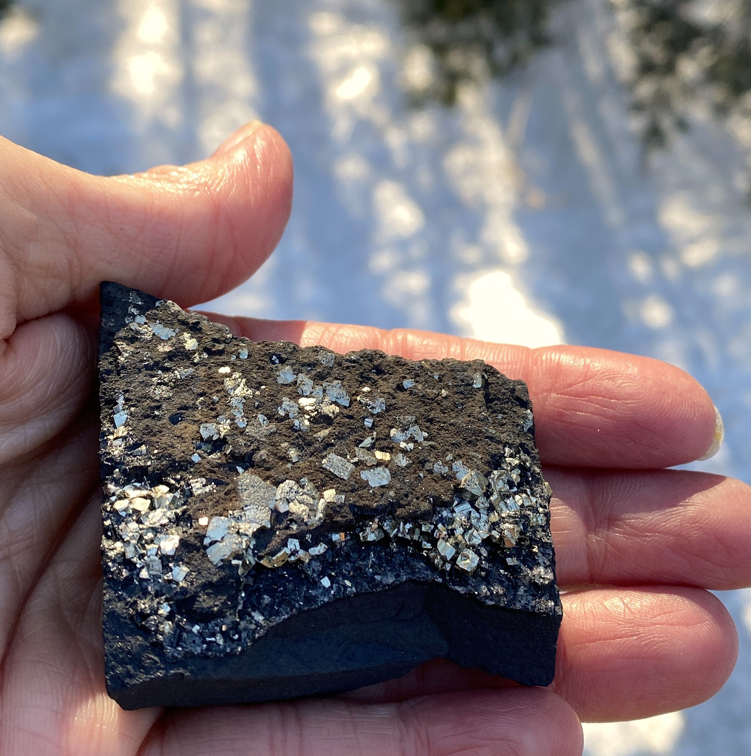 Pyrite on Shungite  Raw  FROM BRAZIL  Prosperity Meditation 31210S