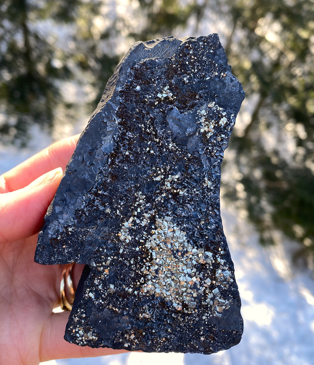 Pyrite on Shungite  Raw  FROM BRAZIL  Prosperity Meditation 31211S