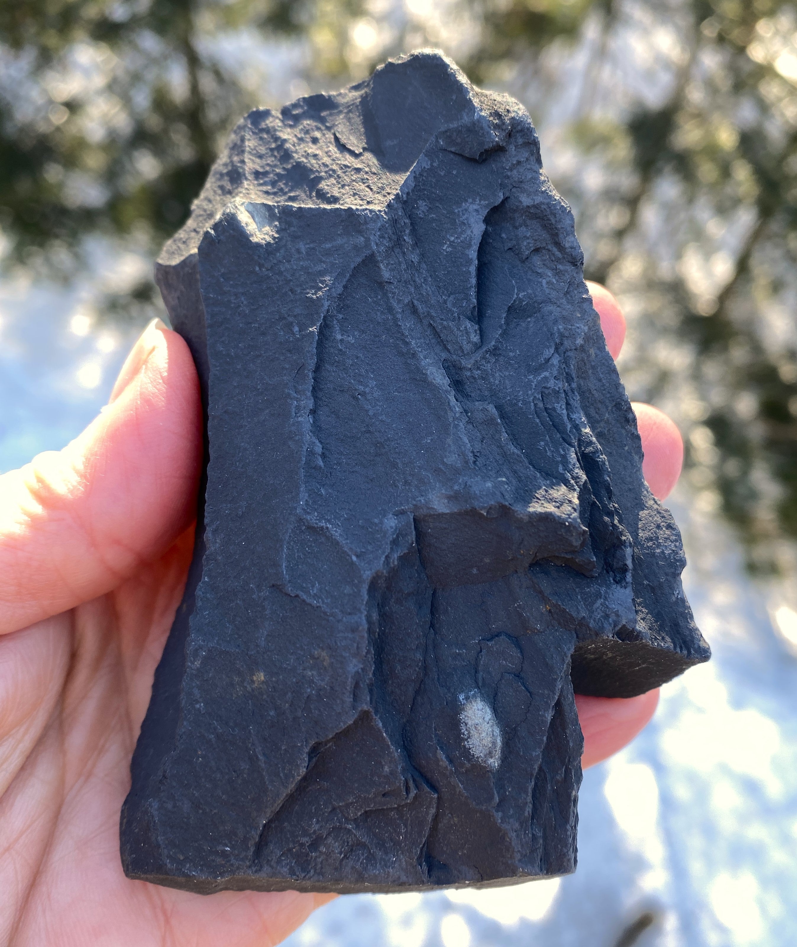 Pyrite on Shungite  Raw  FROM BRAZIL  Prosperity Meditation 31211S