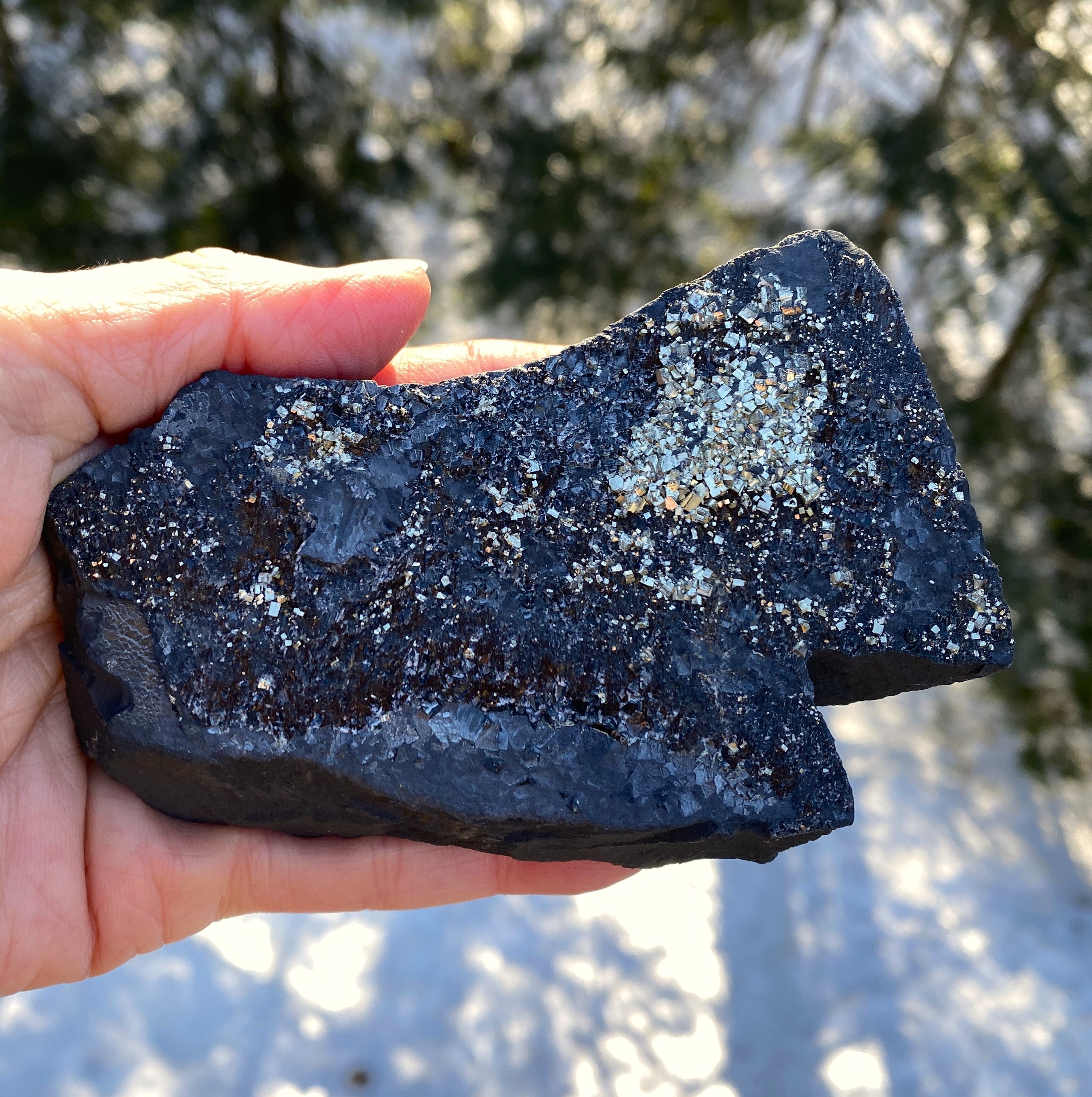 Pyrite on Shungite  Raw  FROM BRAZIL  Prosperity Meditation 31211S