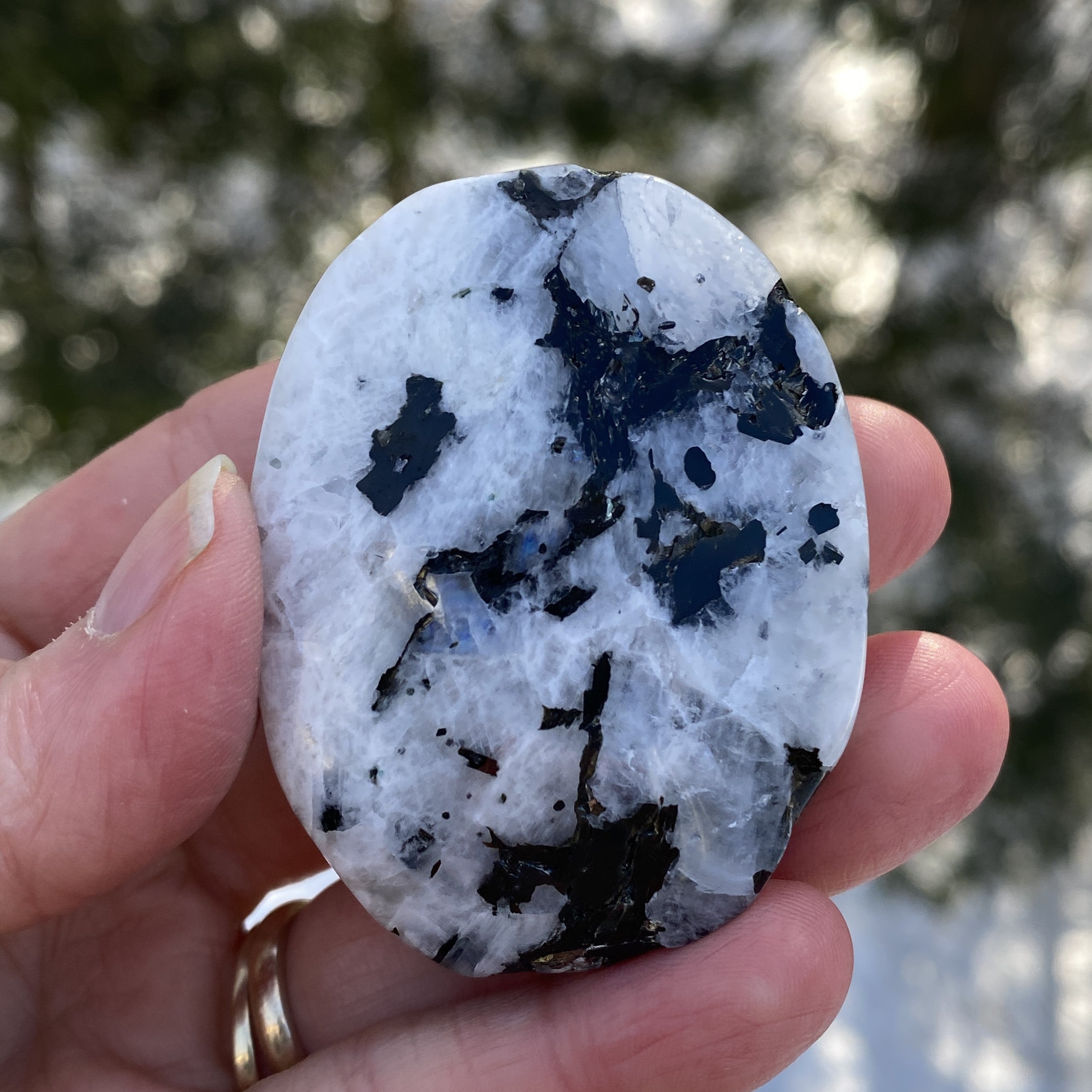 Rainbow Moonstone Palm Stone  Protection Intuition 31222S