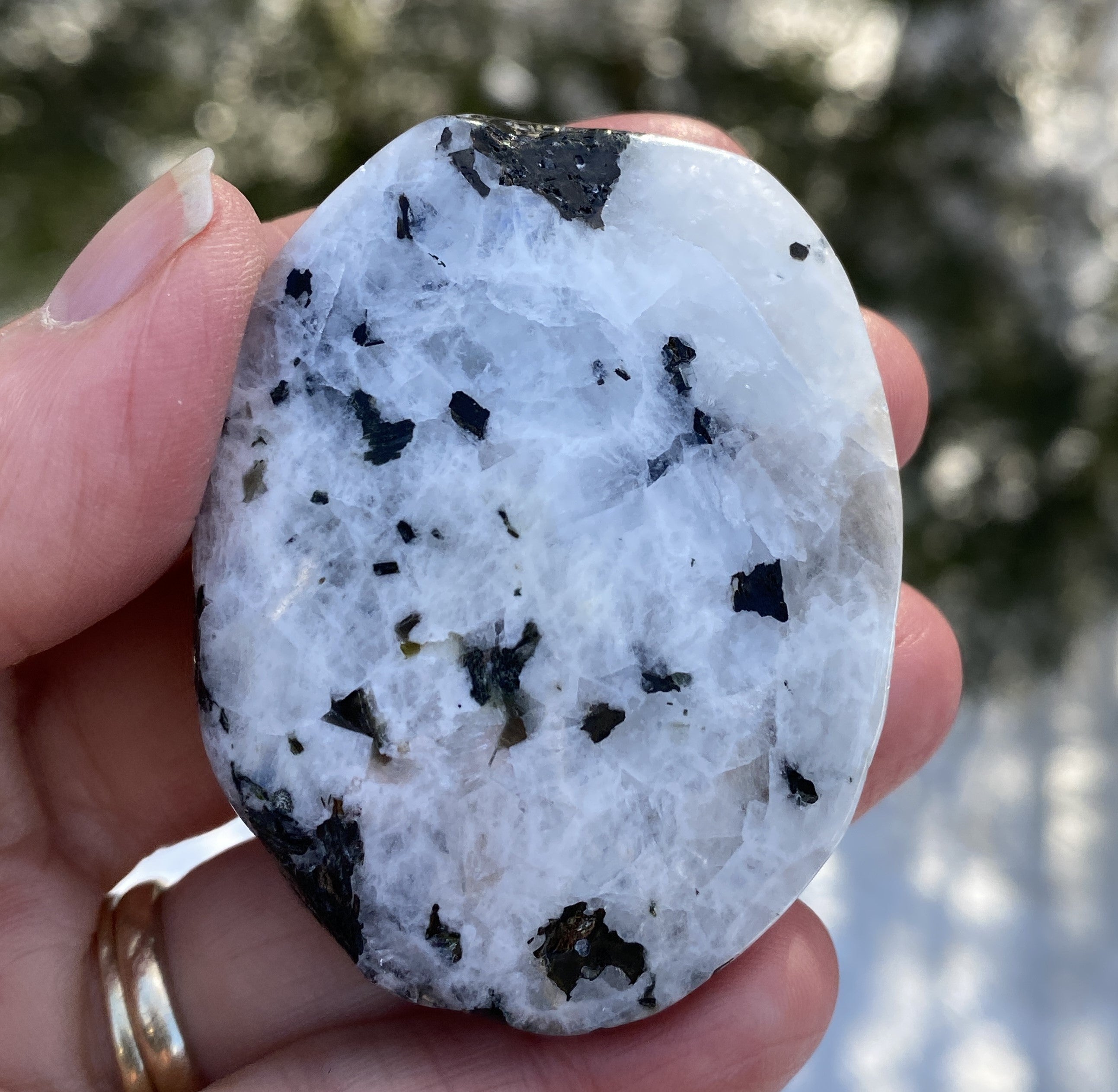 Rainbow Moonstone Palm Stone  Protection Intuition 31222S