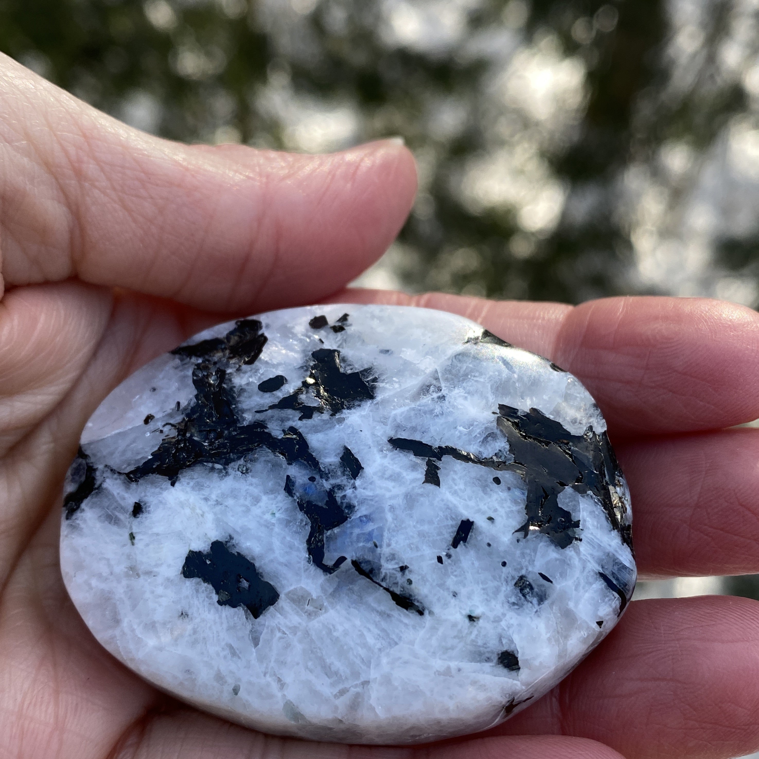 Rainbow Moonstone Palm Stone  Protection Intuition 31222S