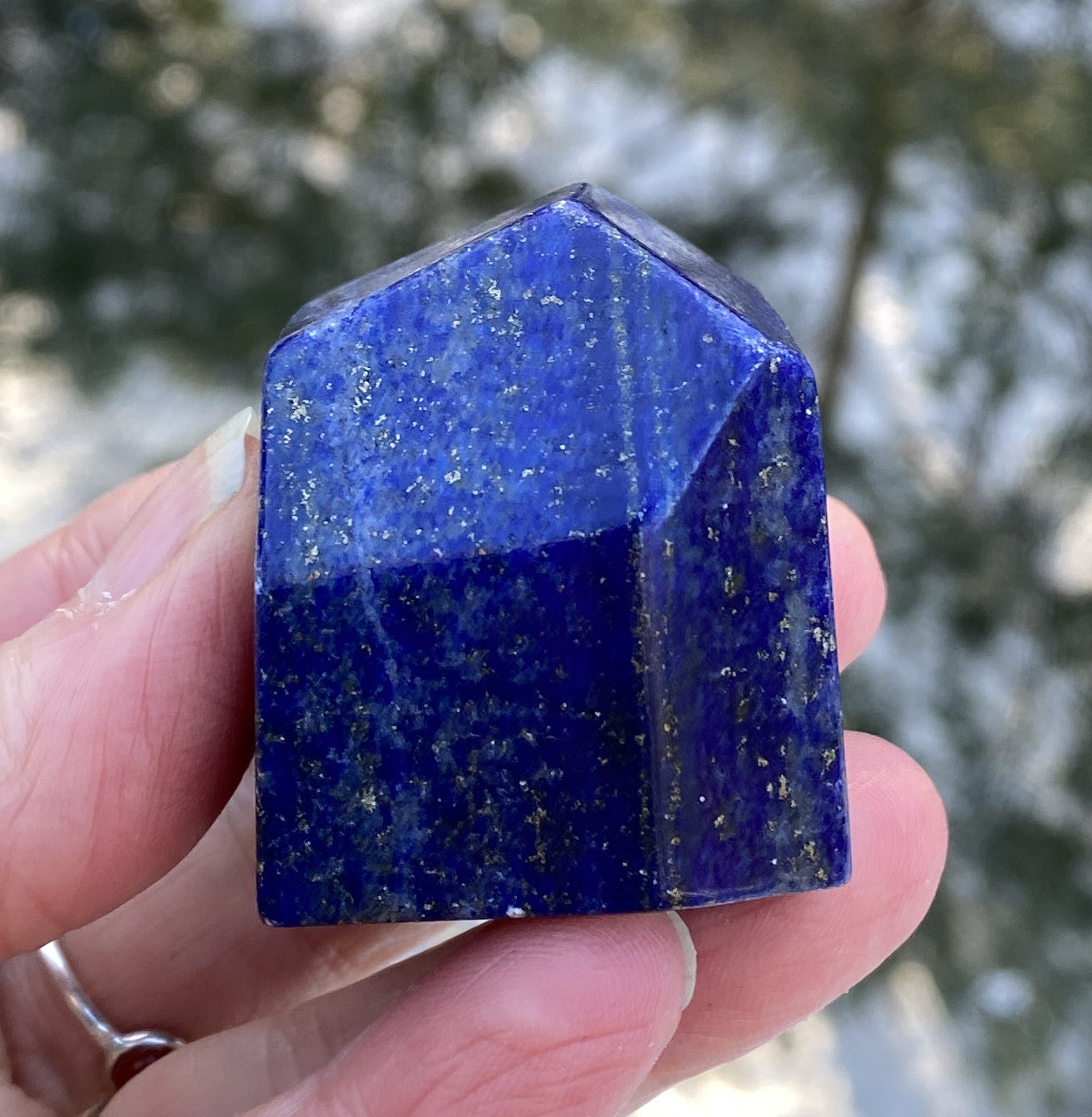 Lapis Lazuli  Freeform  Palm Stone  Blue  Protection Truth 31237S