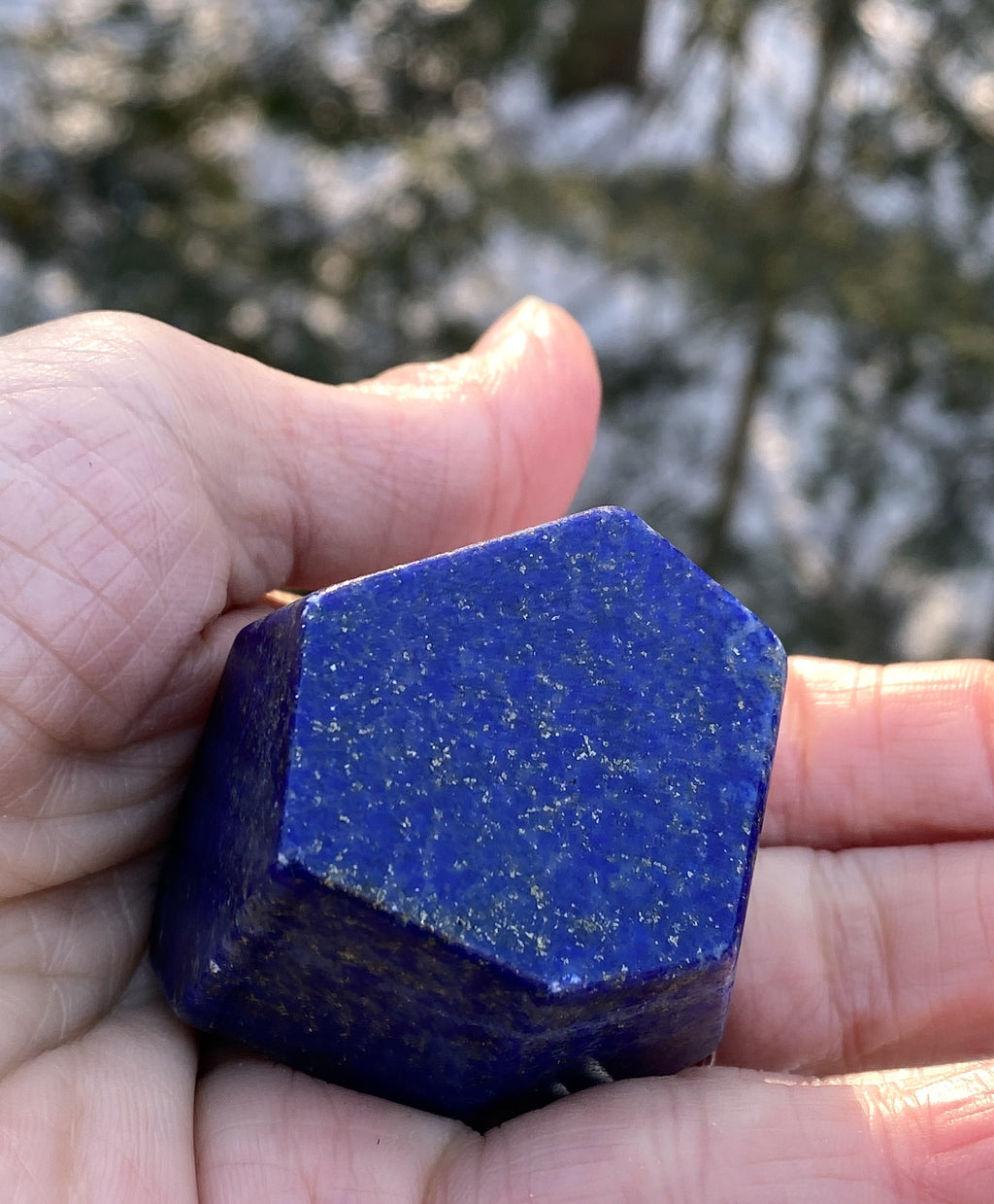 Lapis Lazuli  Freeform  Palm Stone  Blue  Protection Truth 31237S