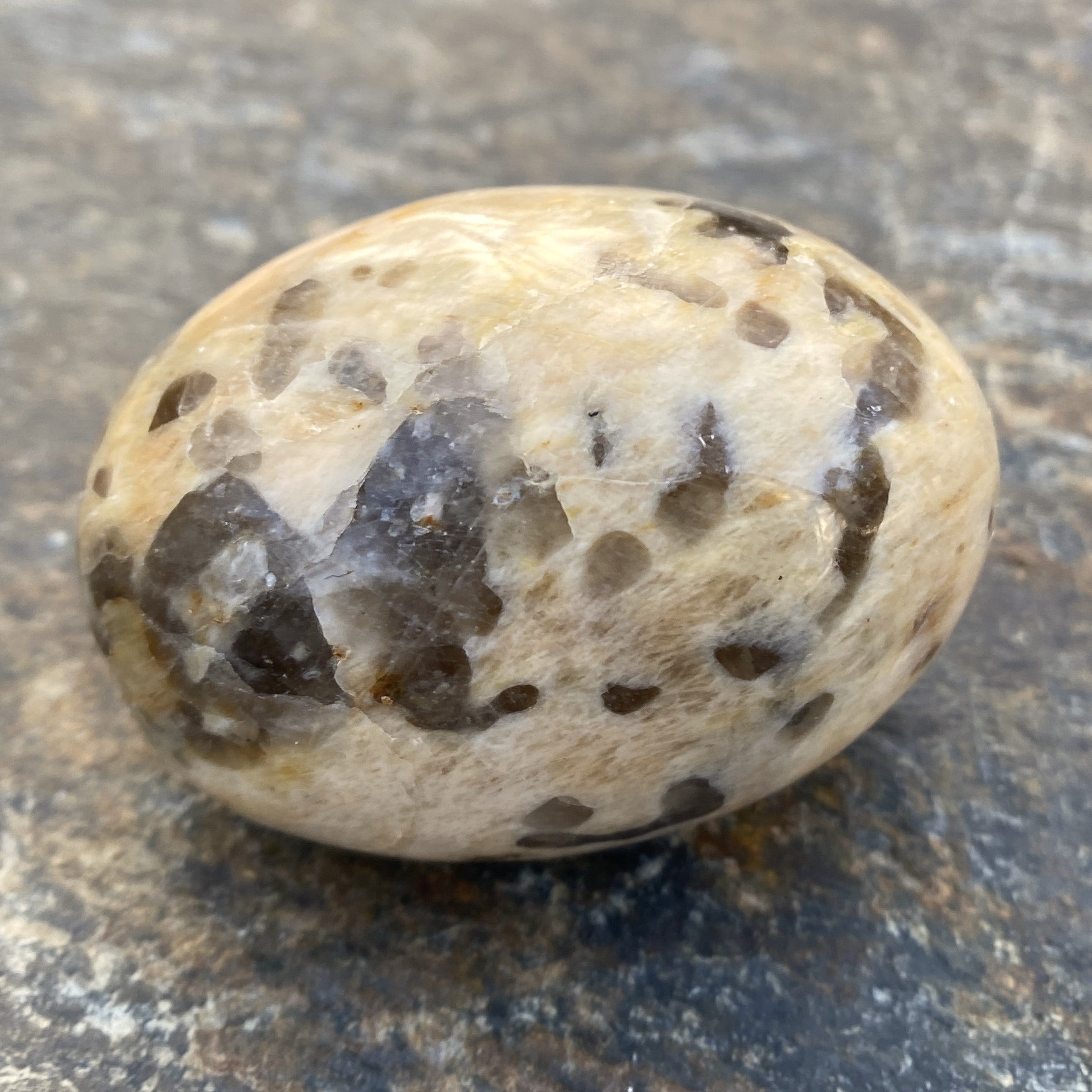 Zebradorite Palm Stone Grounding Depression 31695S