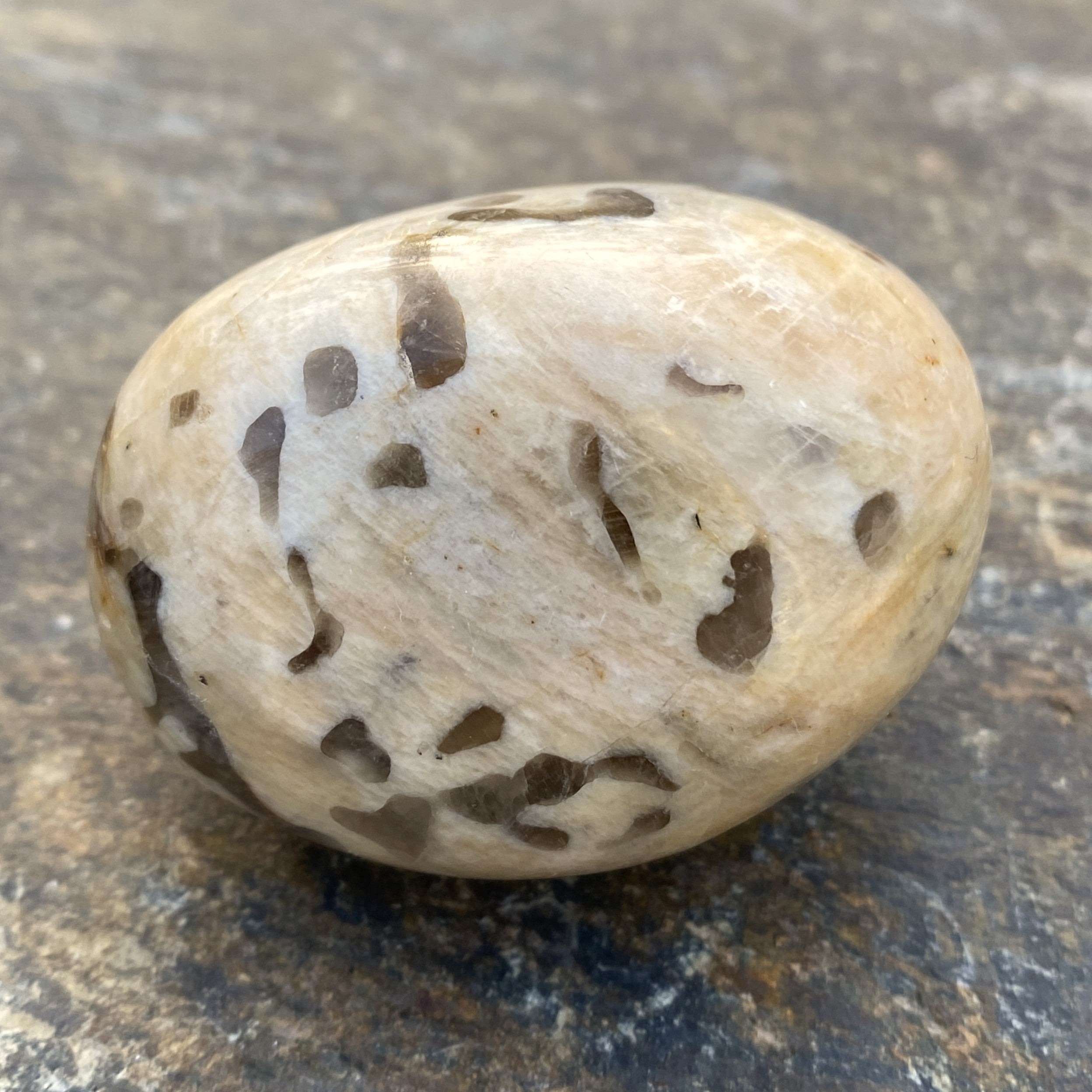 Zebradorite Palm Stone Grounding Depression 31695S