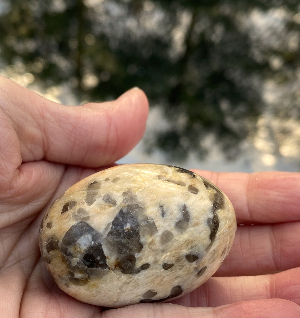 Zebradorite Palm Stone Grounding Depression 31695S
