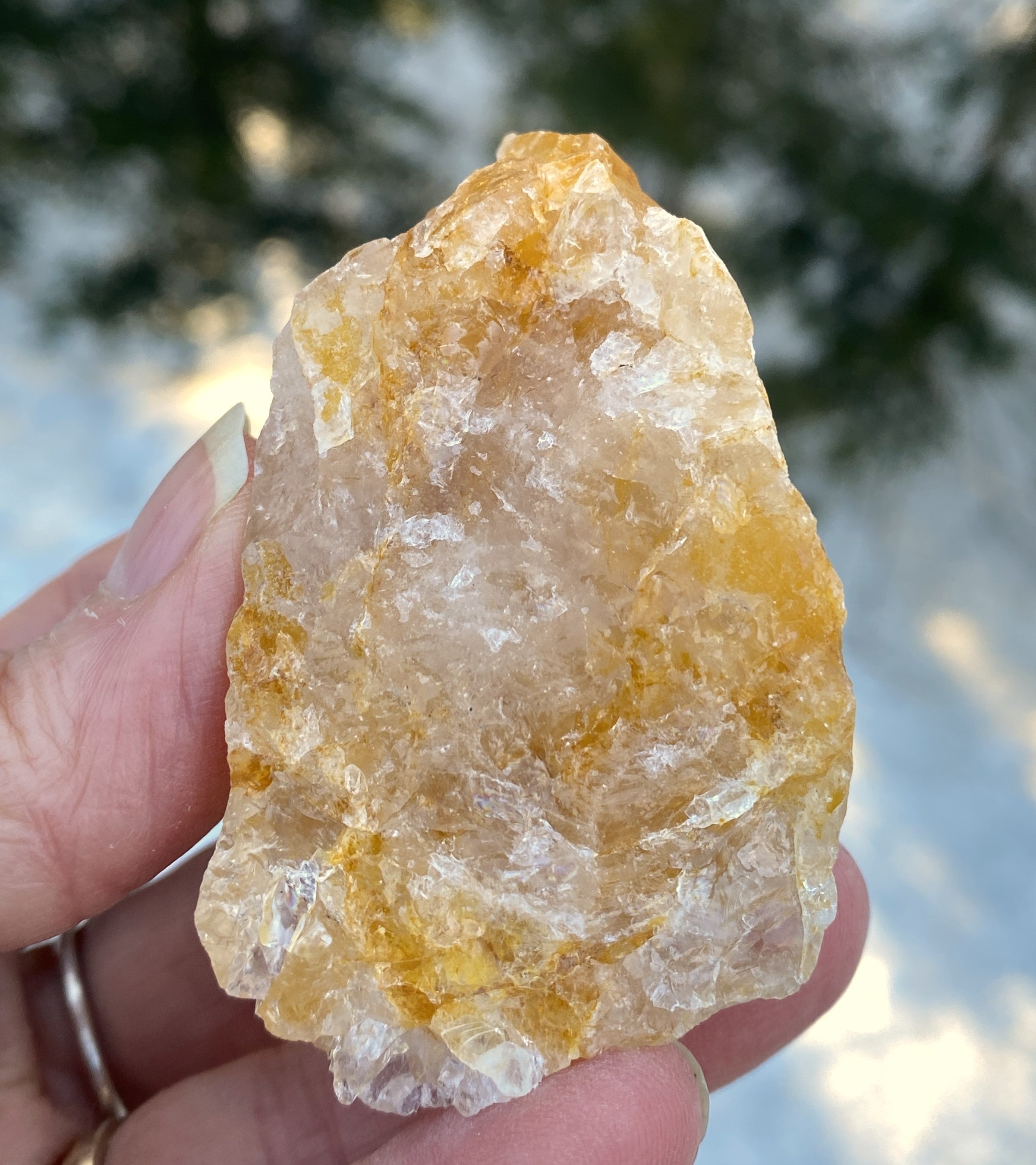 Golden Healer Quartz  Raw Piece Grounding Protection 31262S