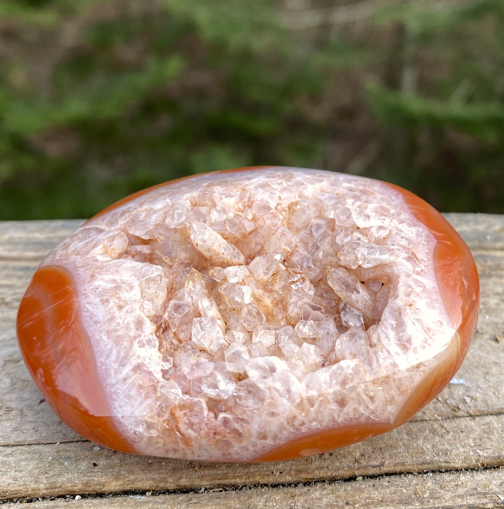 Carnelian Druzy Palm Stone  Creativity Grounding 31321S