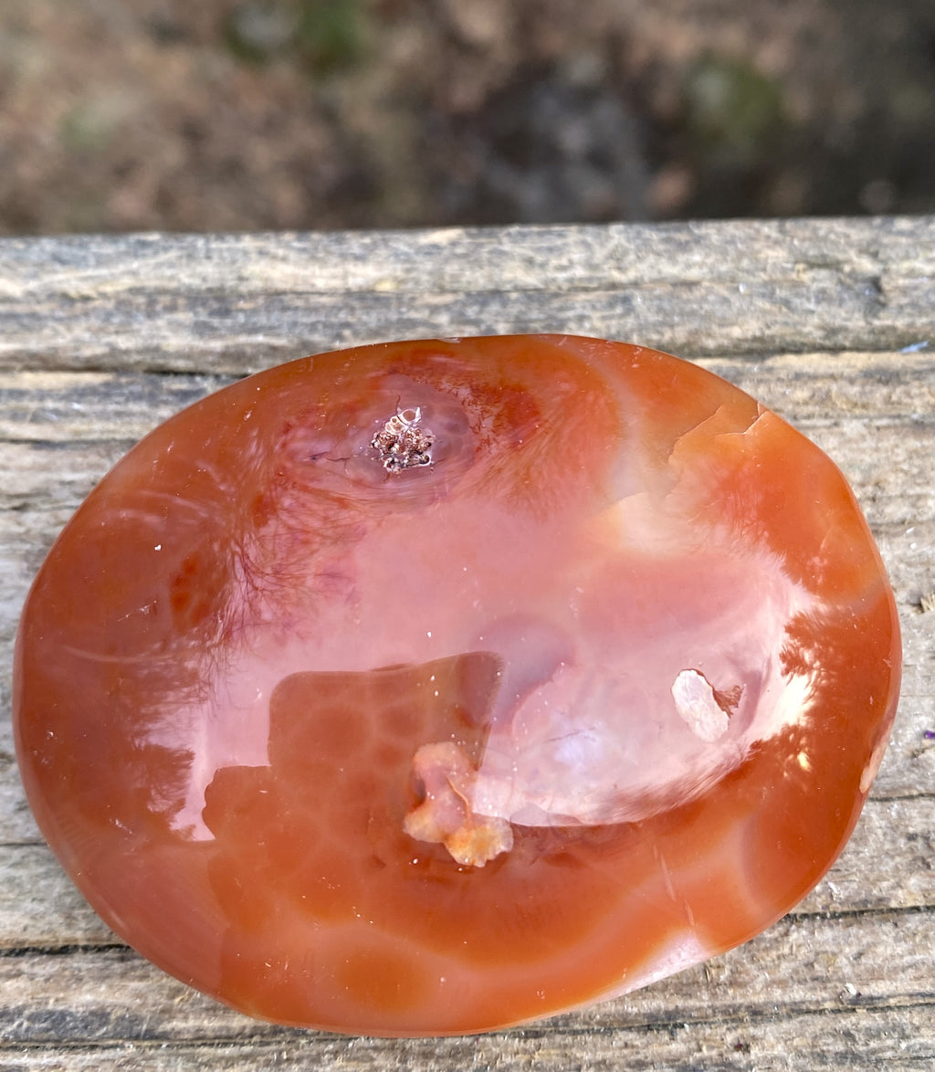 Carnelian Druzy Palm Stone  Creativity Grounding 31321S