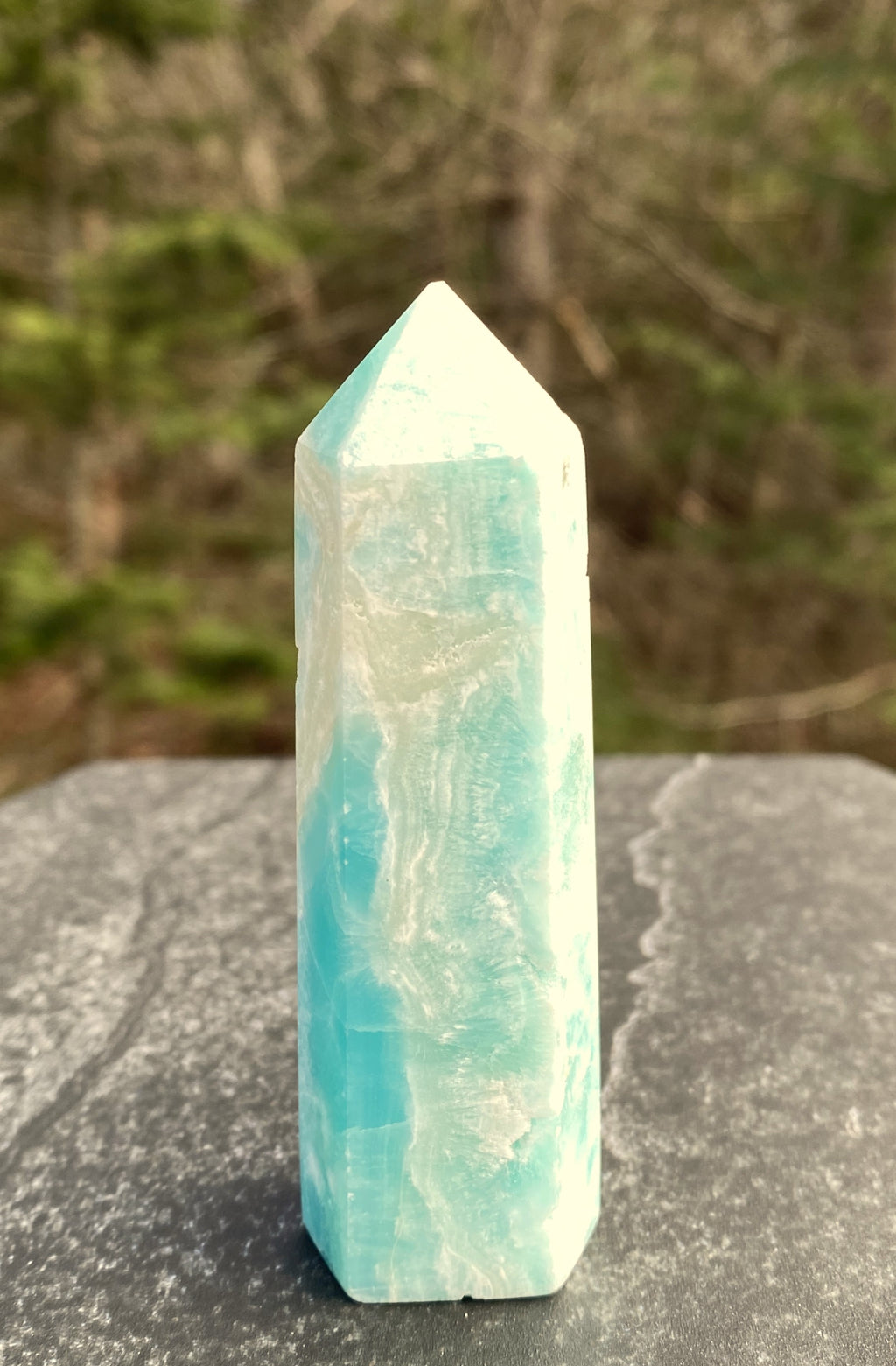Hemimorphite Point Tower  Protection Communication 31354S