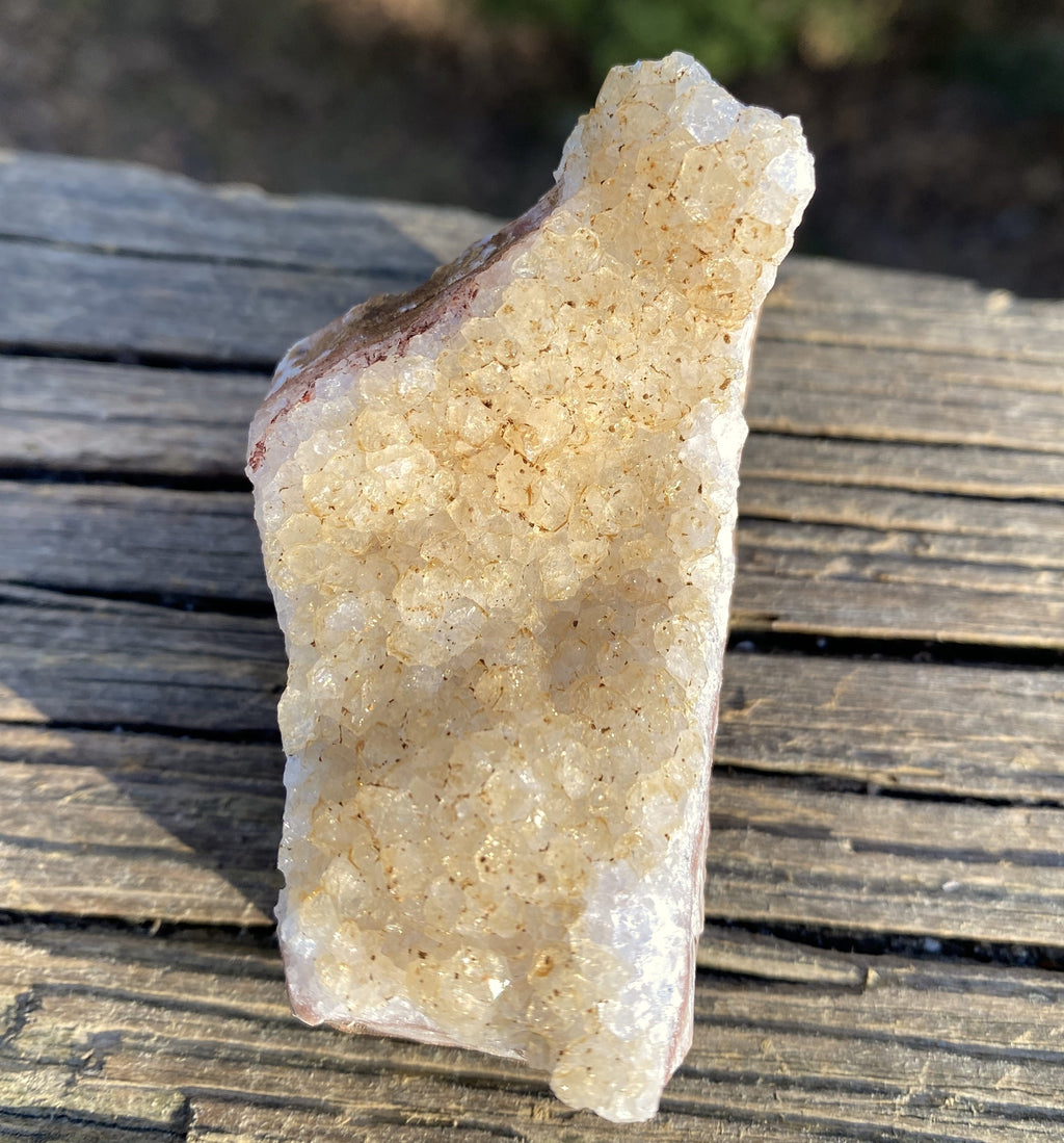 Citrine Druzy Specimen  Prosperity Protection 31404S