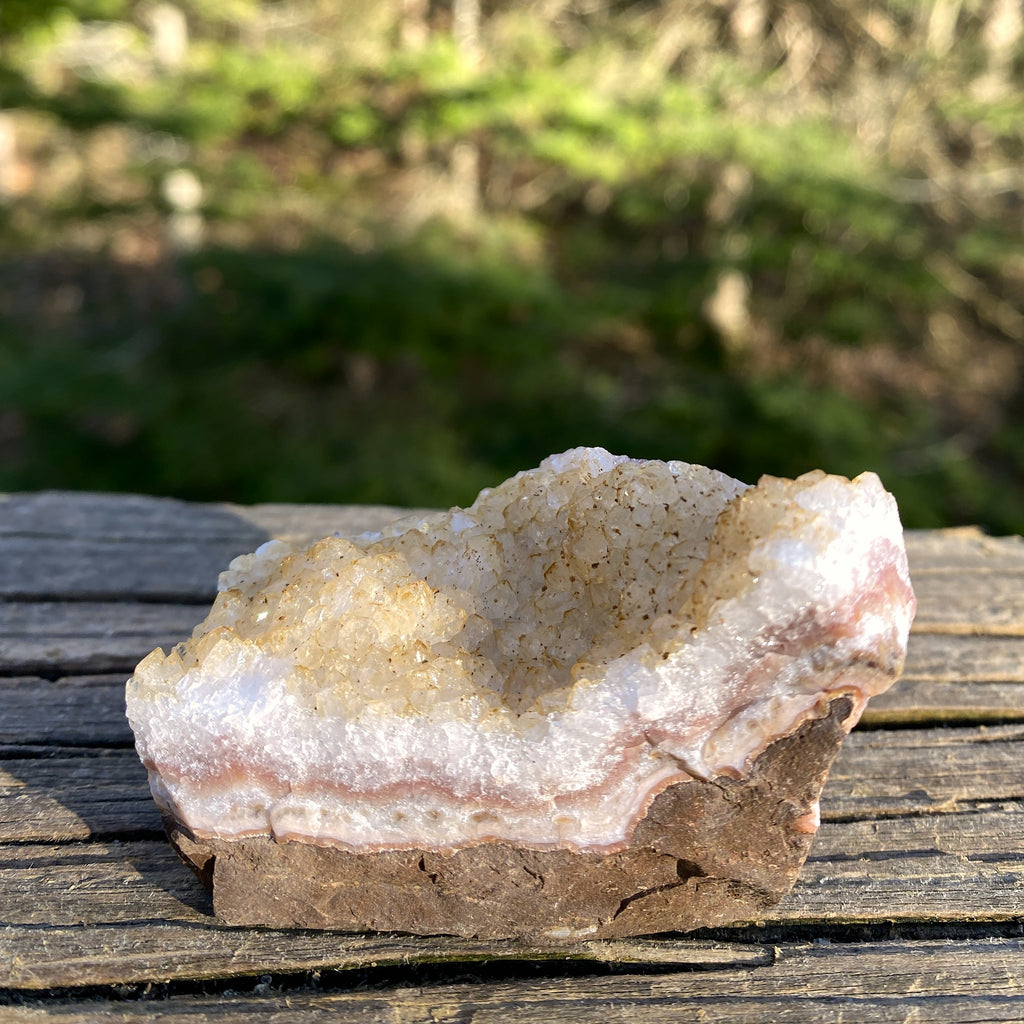 Citrine Druzy Specimen  Prosperity Protection 31404S