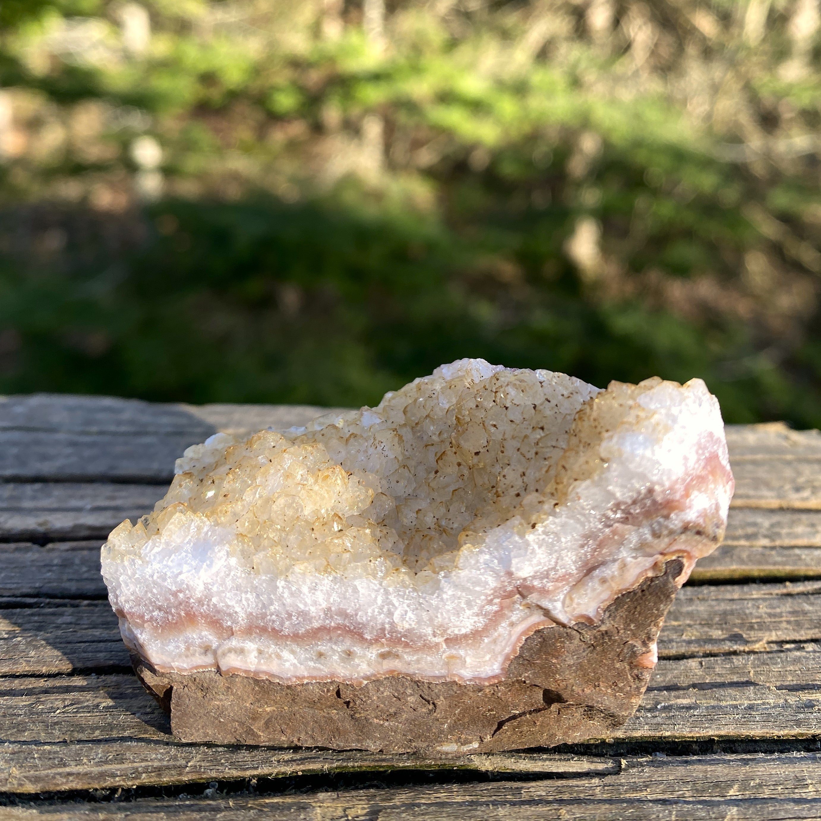 Citrine Druzy Specimen  Prosperity Protection 31404S