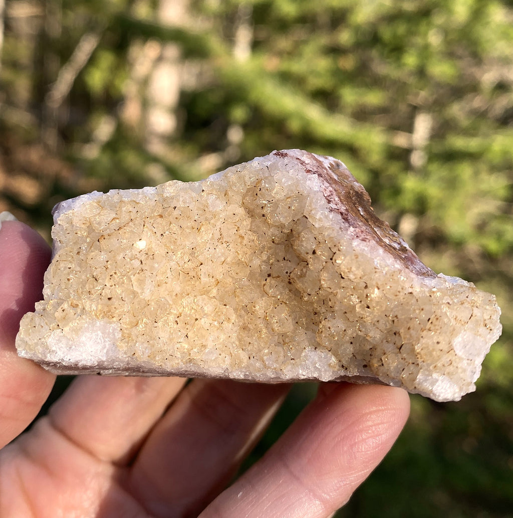 Citrine Druzy Specimen  Prosperity Protection 31404S