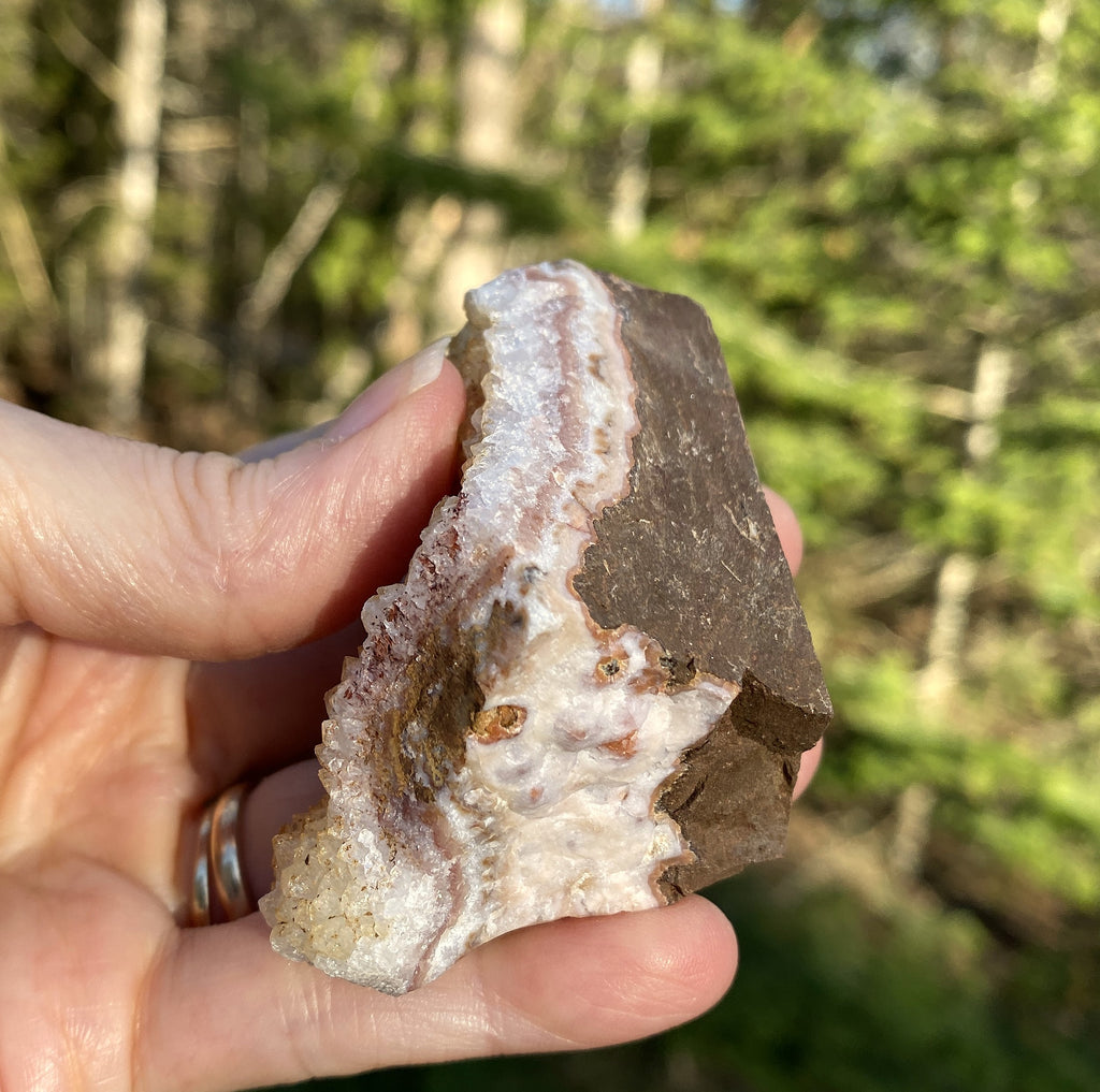 Citrine Druzy Specimen  Prosperity Protection 31404S
