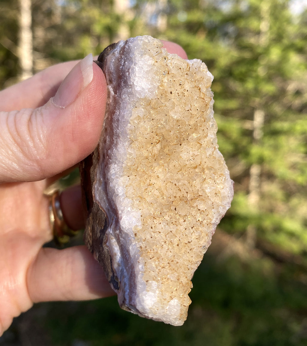 Citrine Druzy Specimen  Prosperity Protection 31404S