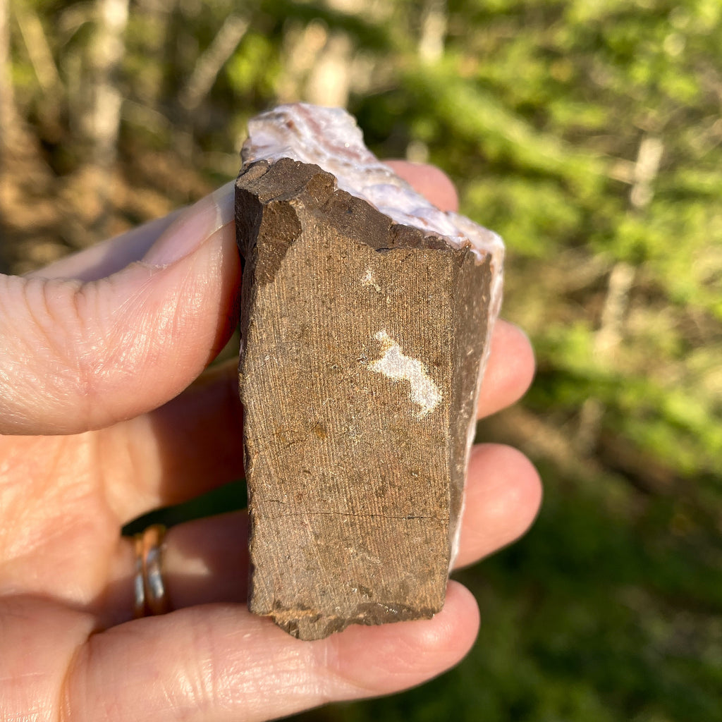 Citrine Druzy Specimen  Prosperity Protection 31404S