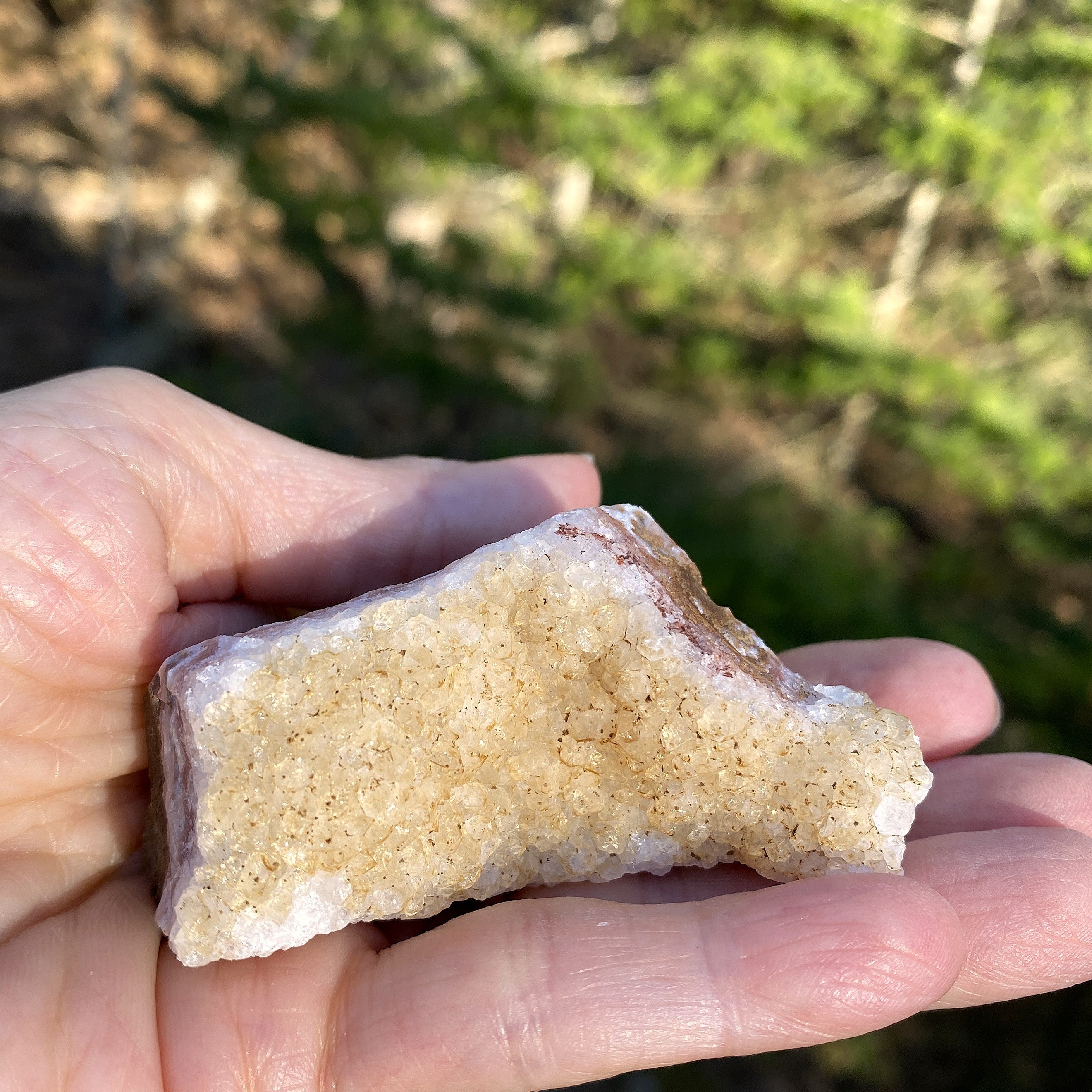 Citrine Druzy Specimen  Prosperity Protection 31404S
