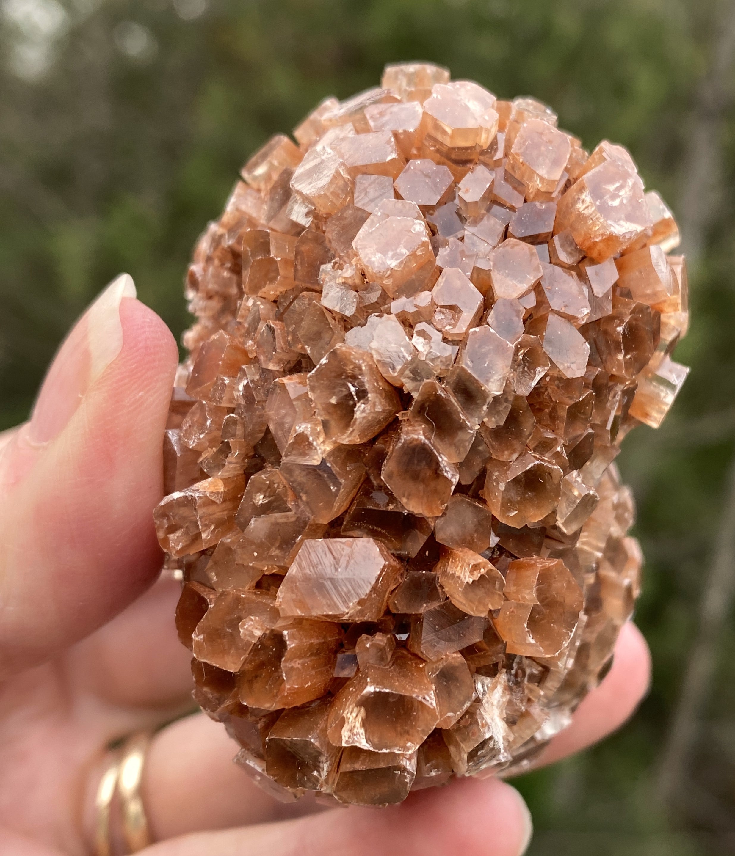 Aragonite Cluster Raw Red Healing Grounding 31419S