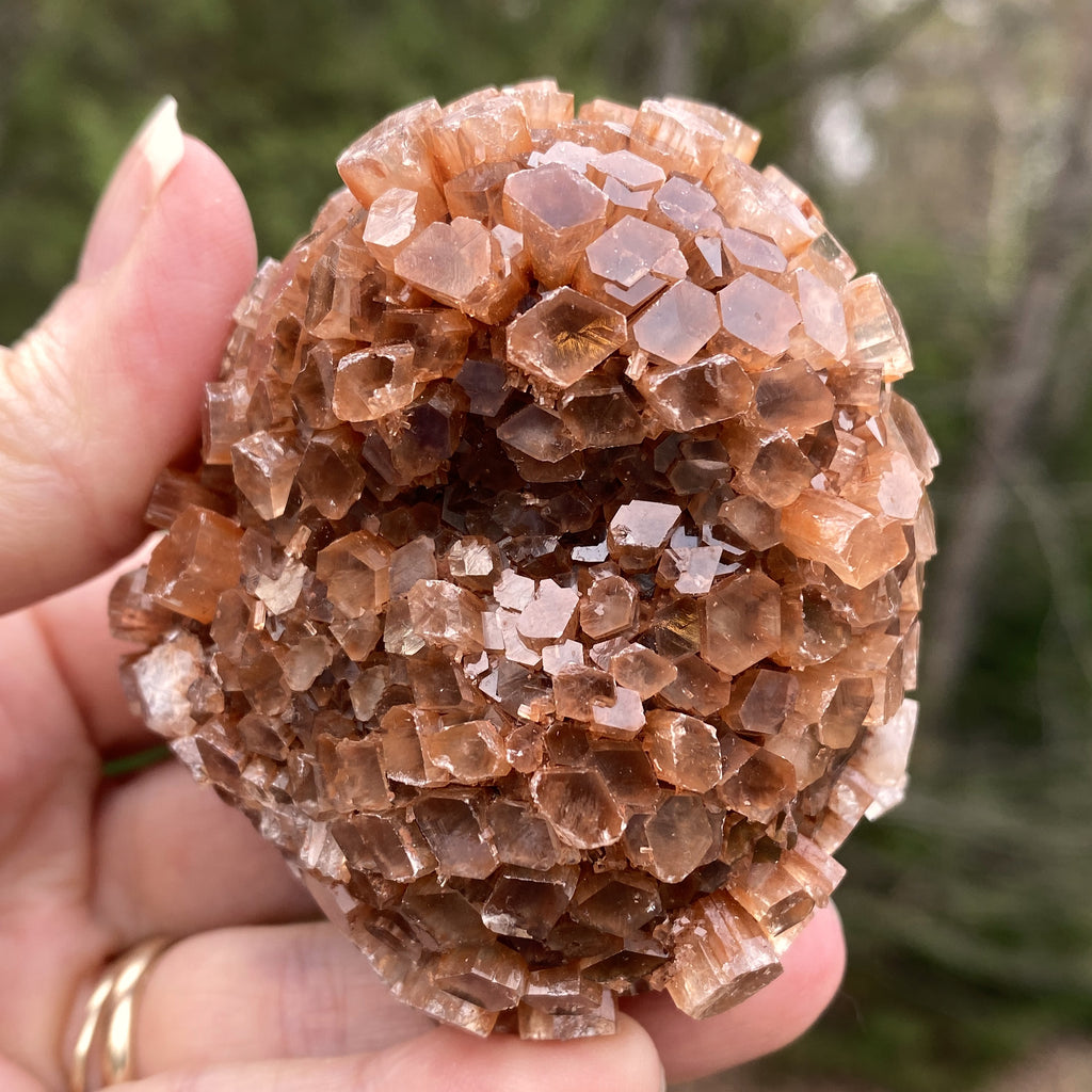 Aragonite Cluster Raw Red Healing Grounding 31419S