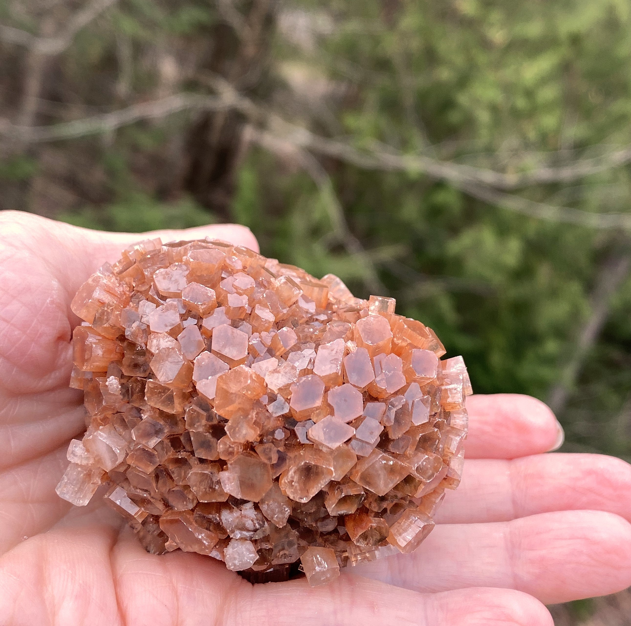 Aragonite Cluster Raw Red Healing Grounding 31419S