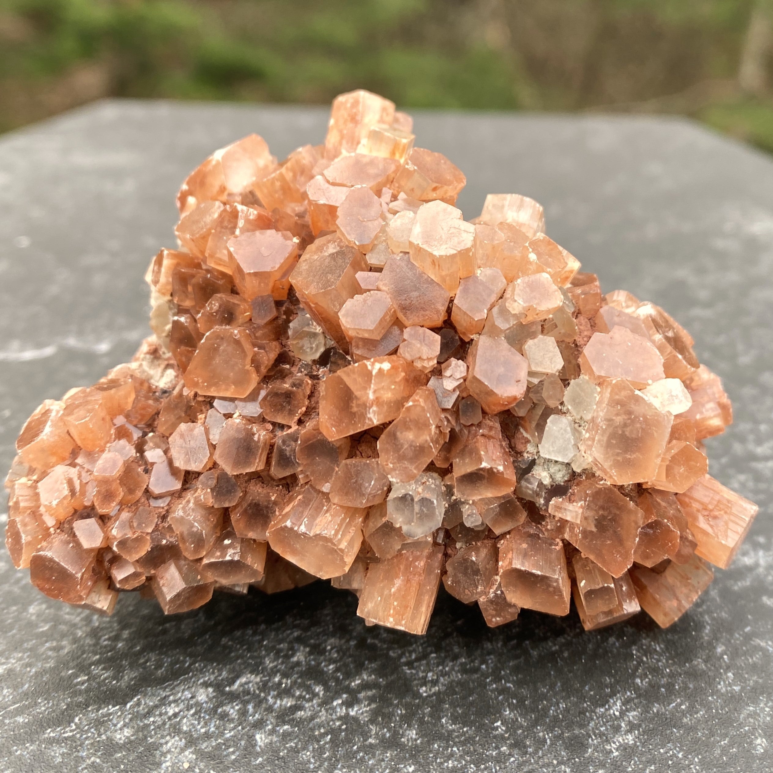 Aragonite Cluster  Raw Red  Healing Grounding 31420S