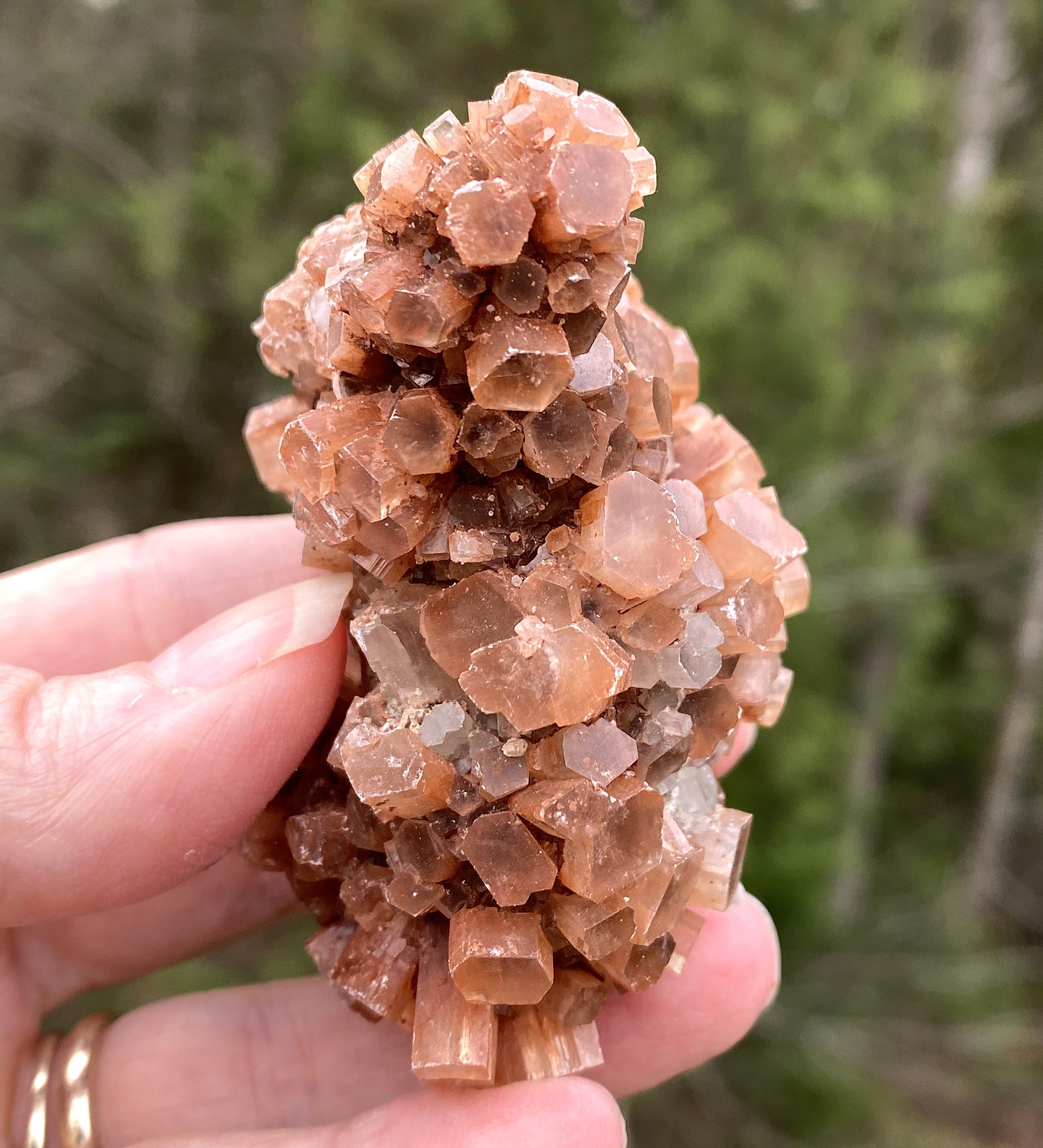 Aragonite Cluster  Raw Red  Healing Grounding 31420S