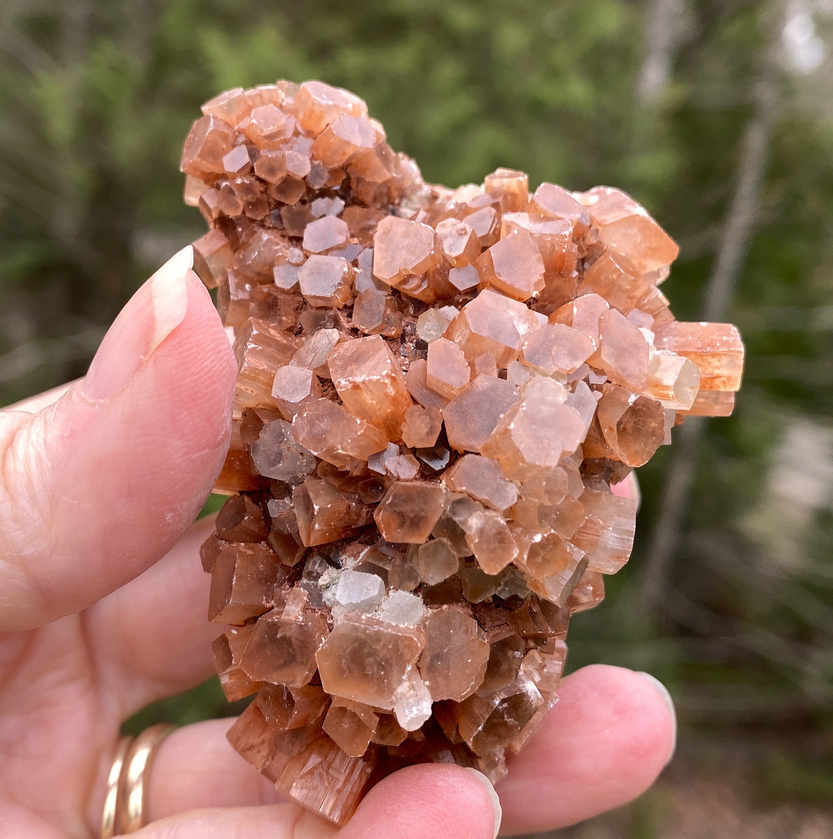 Aragonite Cluster  Raw Red  Healing Grounding 31420S