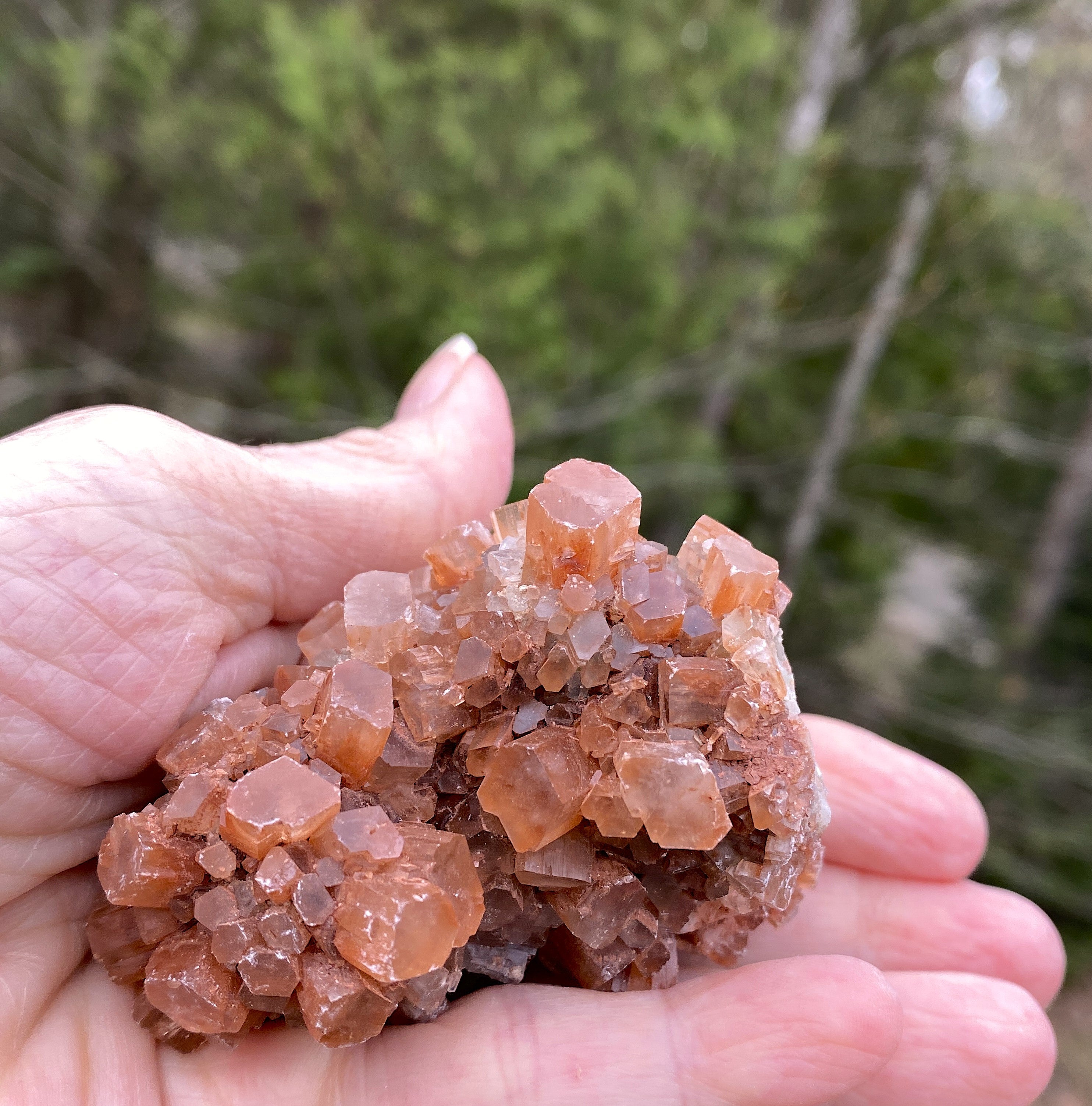 Aragonite Cluster  Raw Red  Healing Grounding 31420S