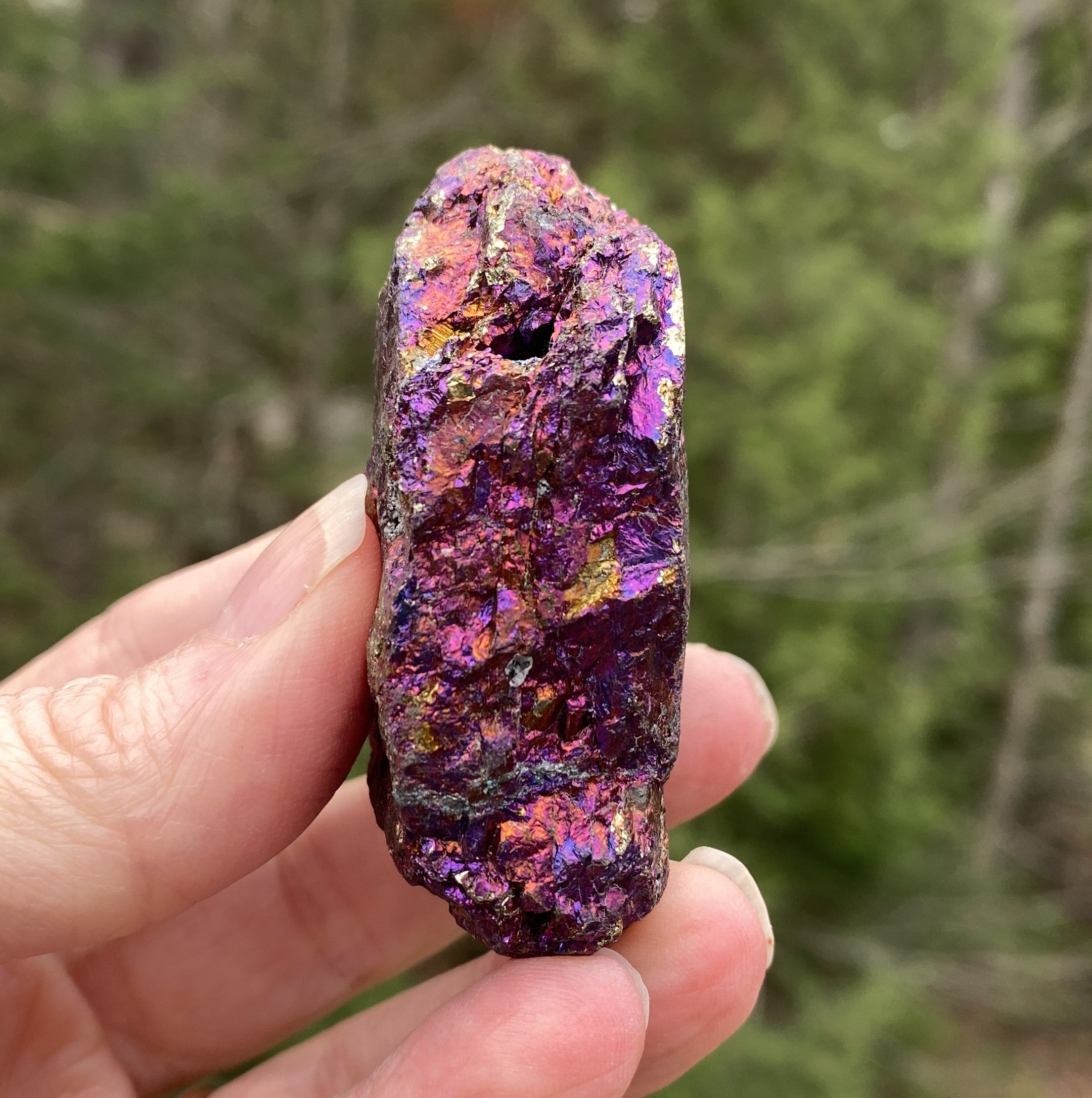 Peacock Ore  Colorful Raw Piece  Wellness Joy Balance 31422S