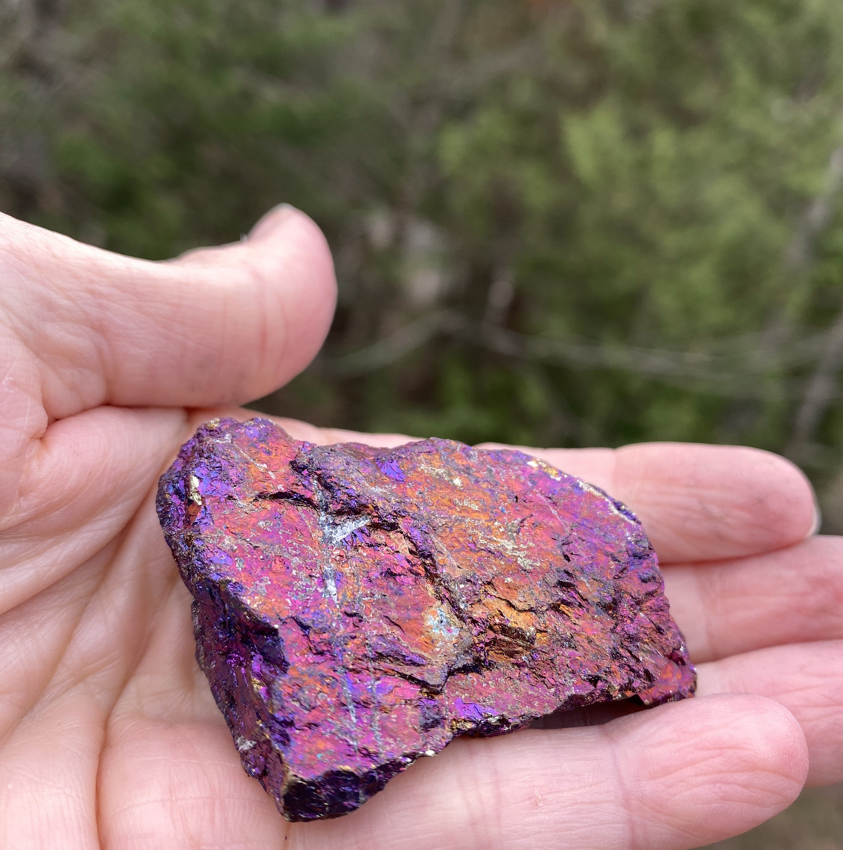 Peacock Ore  Colorful Raw Piece  Wellness Joy Balance 31422S