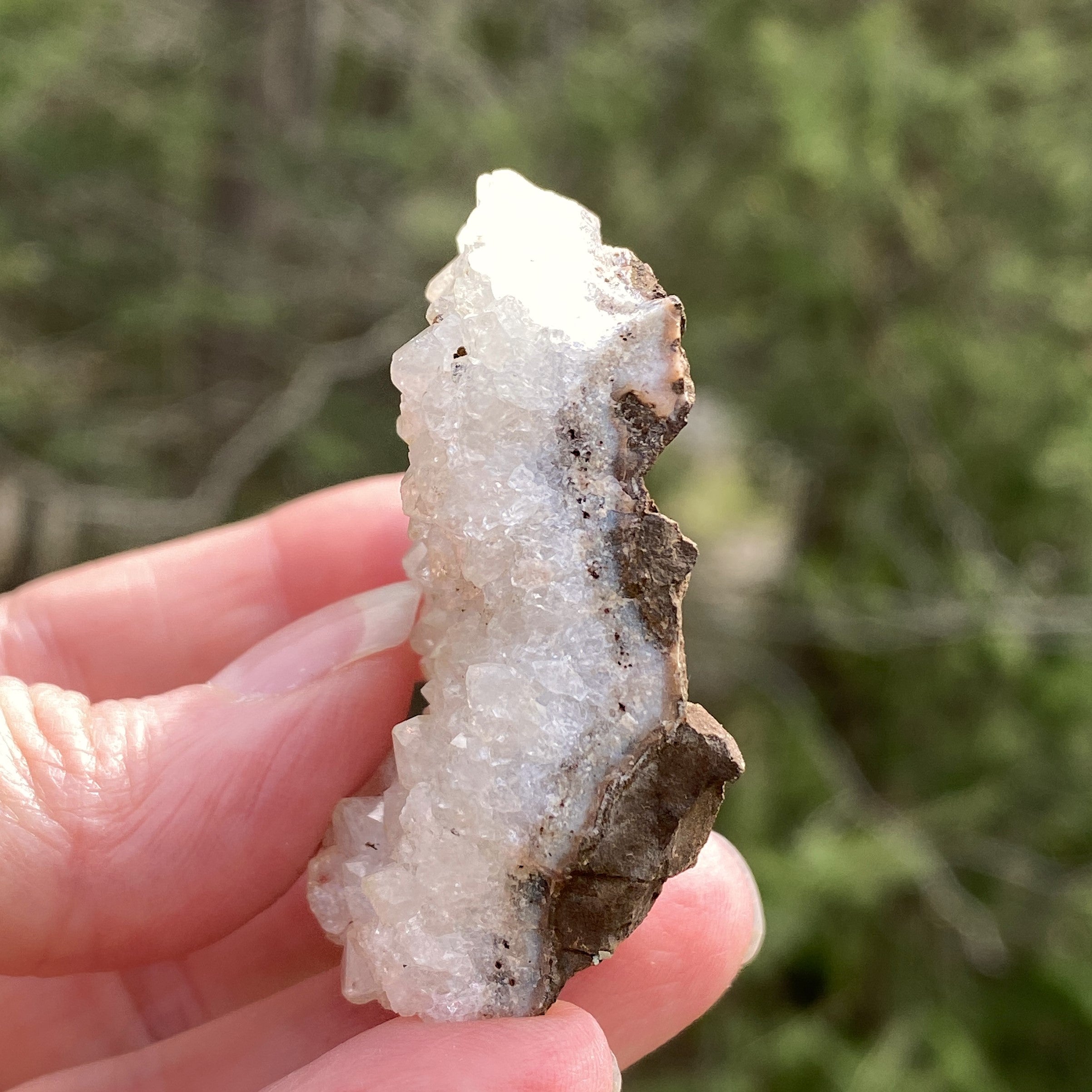 Quartz Druzy Specimen  White  Energy Ampilifer Healer Protection 31430S