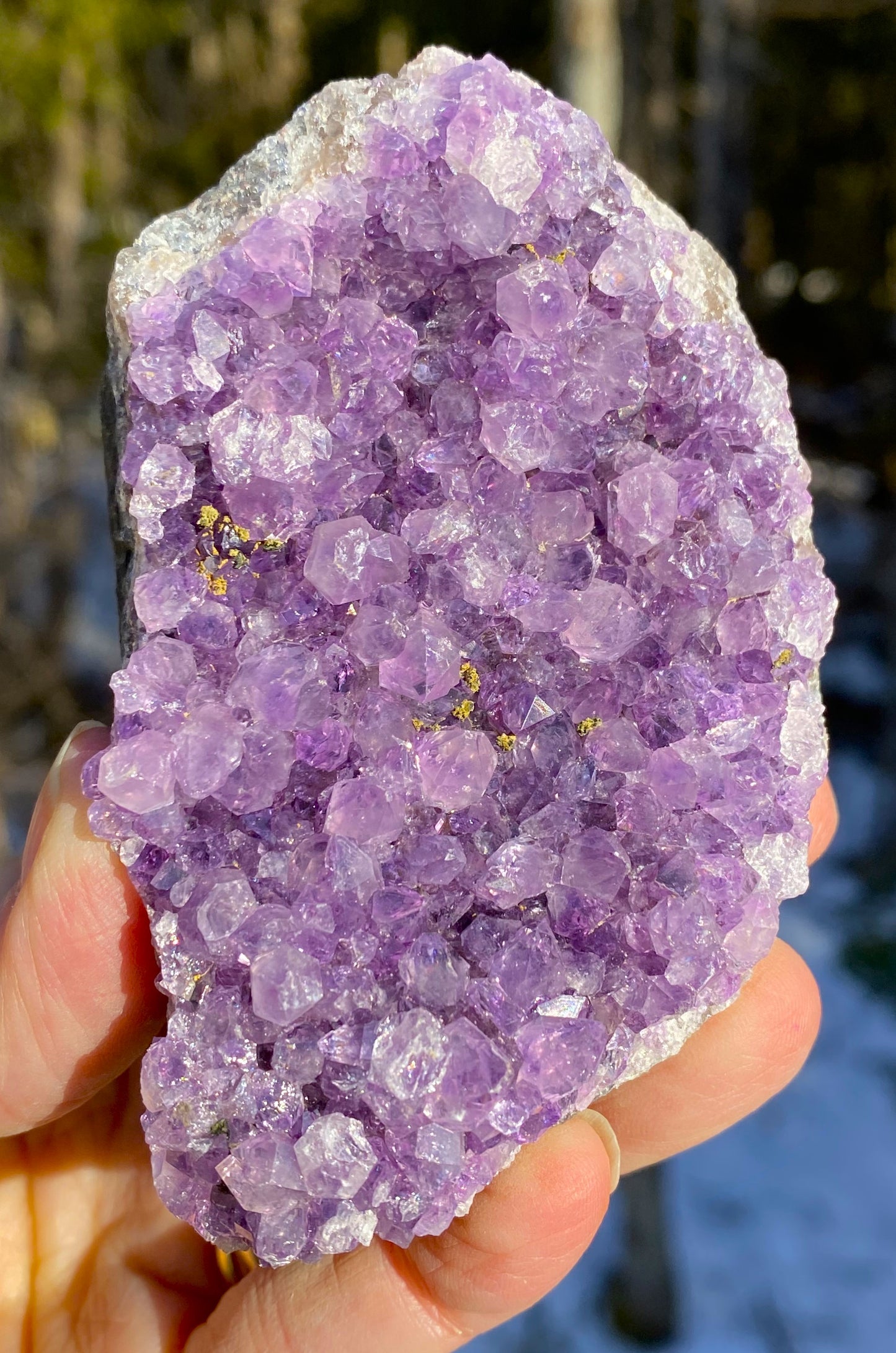 Amethyst Druzy  Dark Purple  Uruguay  Protection Balance Intuition 29181S