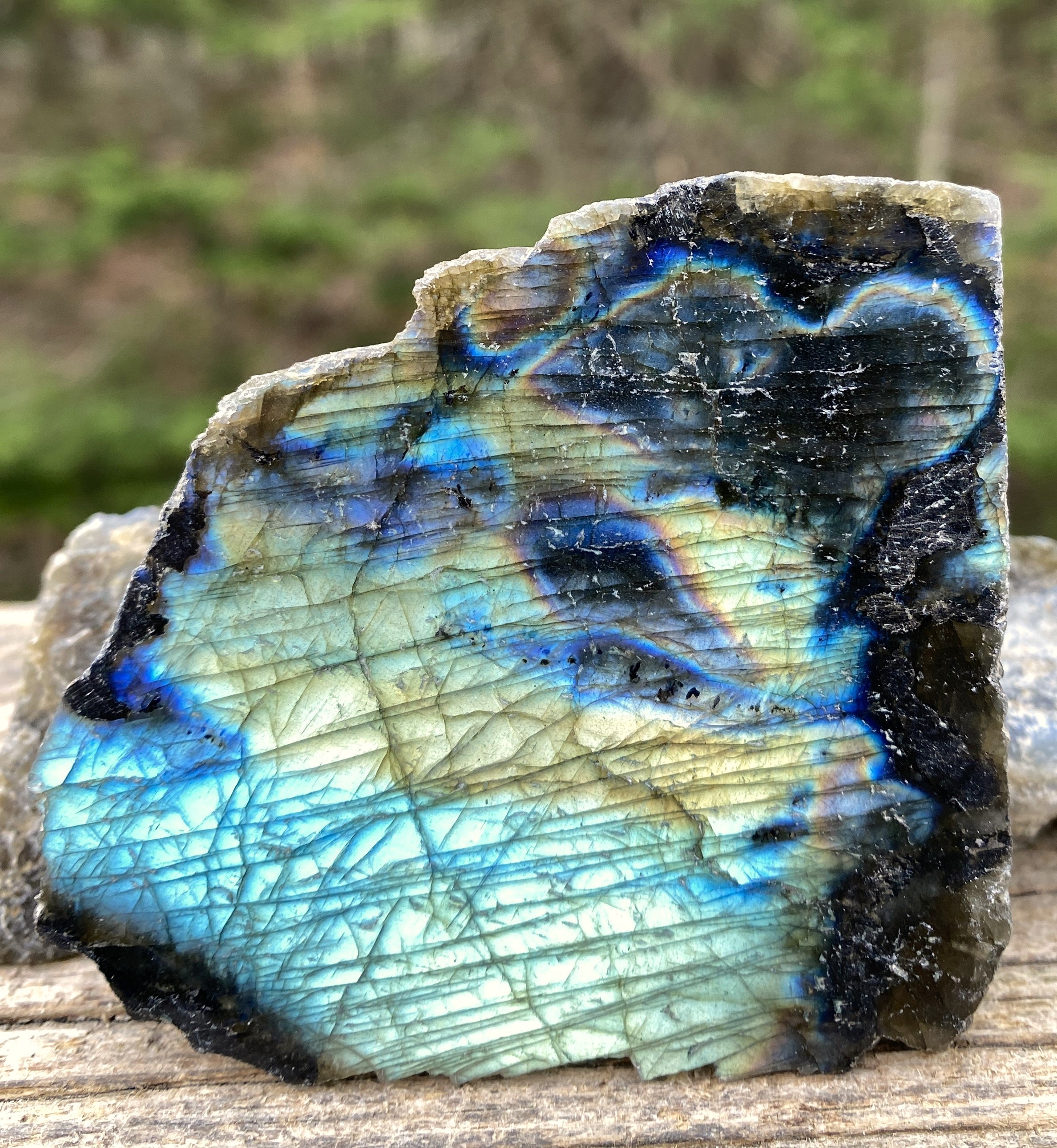 Labradorite Slab Plate Specimen  Mystical Stone Intuition Protective 31424S