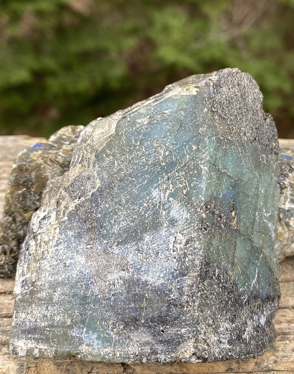 Labradorite Slab Plate Specimen  Mystical Stone Intuition Protective 31424S
