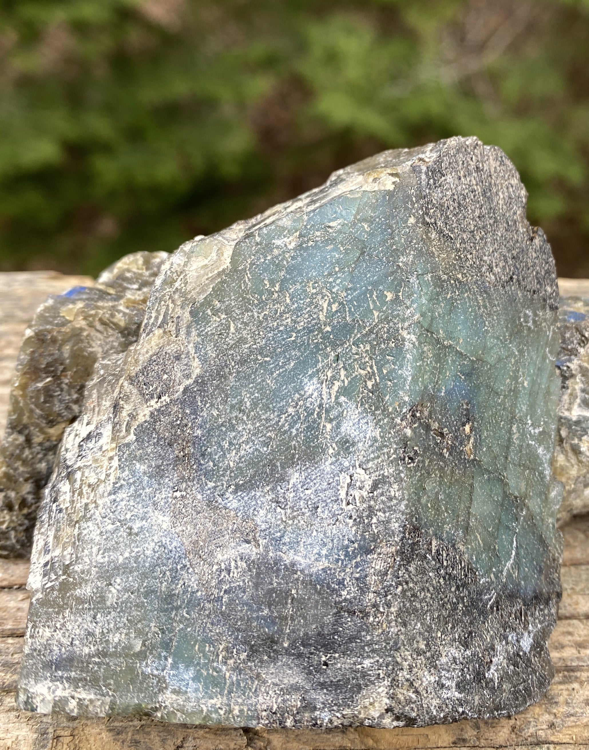 Labradorite Slab Plate Specimen  Mystical Stone Intuition Protective 31424S