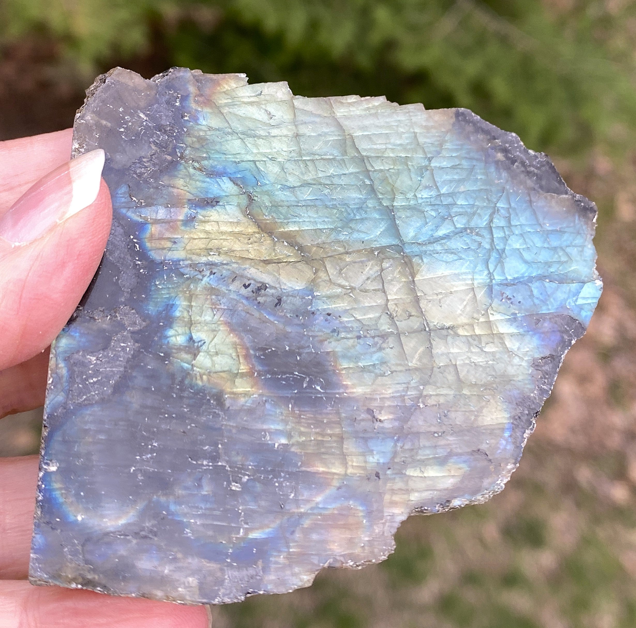 Labradorite Slab Plate Specimen  Mystical Stone Intuition Protective 31424S