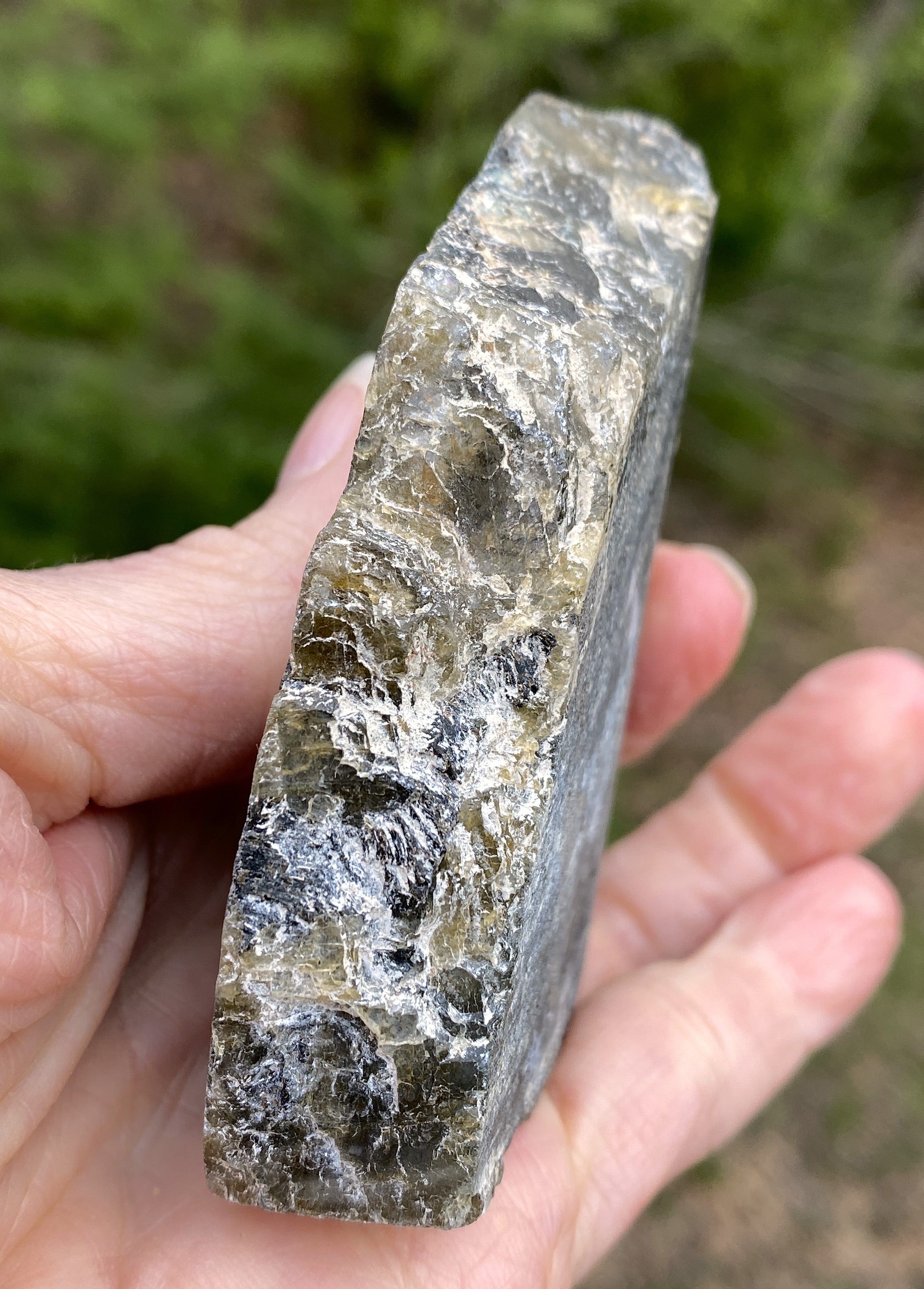 Labradorite Slab Plate Specimen  Mystical Stone Intuition Protective 31424S