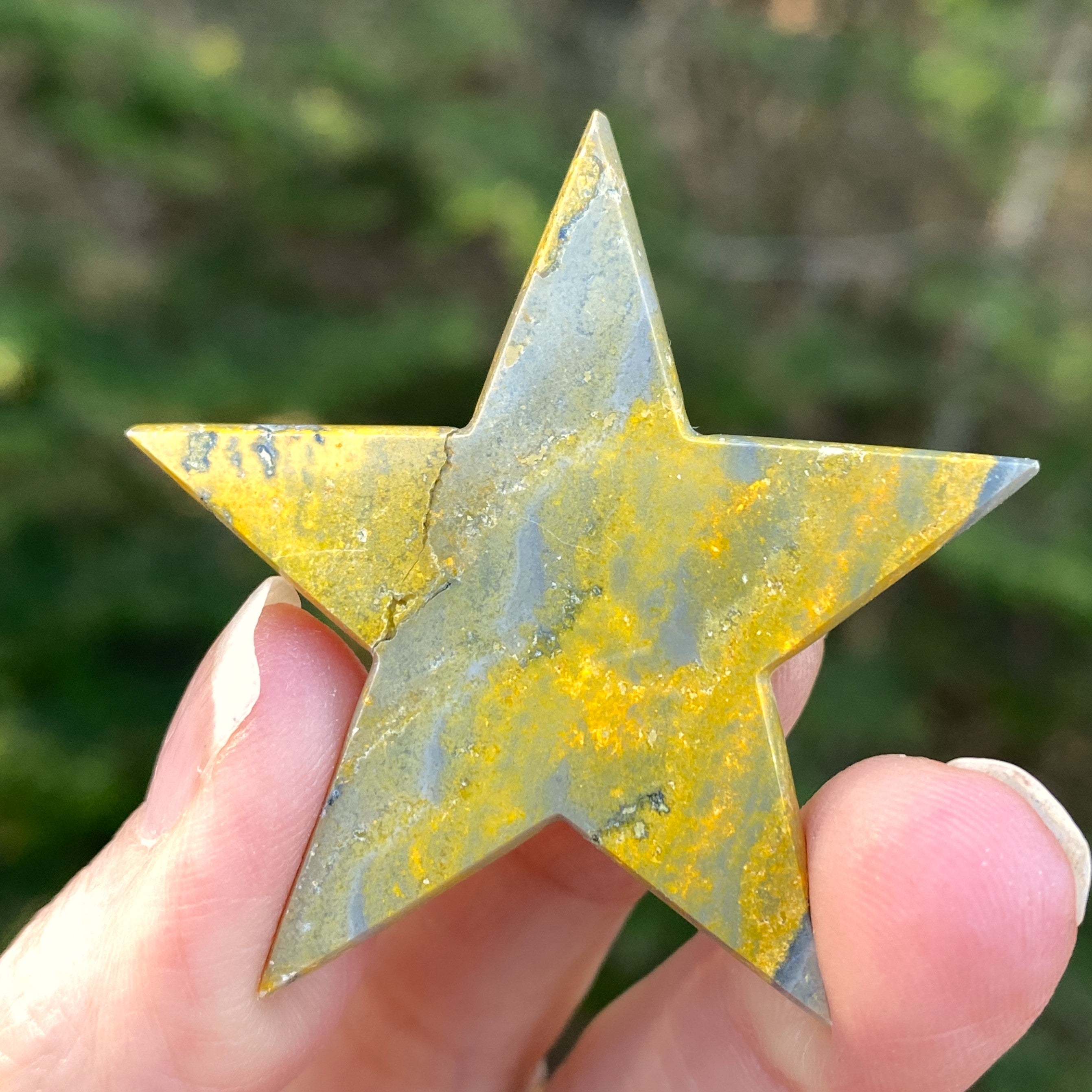 Bumble Bee Jasper  Moon Star Set  Figurines  Success Protection  31428S