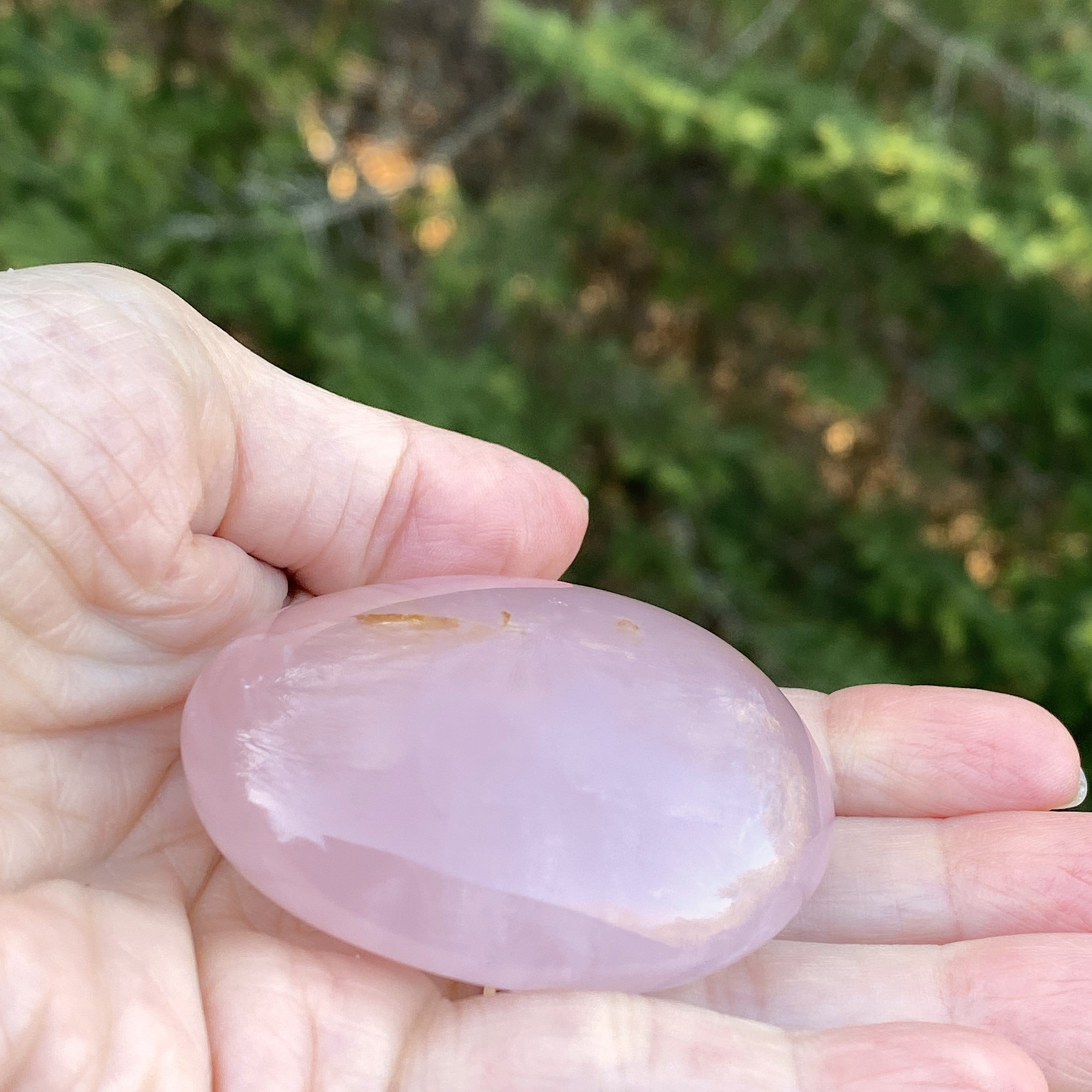Rose Quartz  Palm Stone  Pink  Love Compassion 31449S