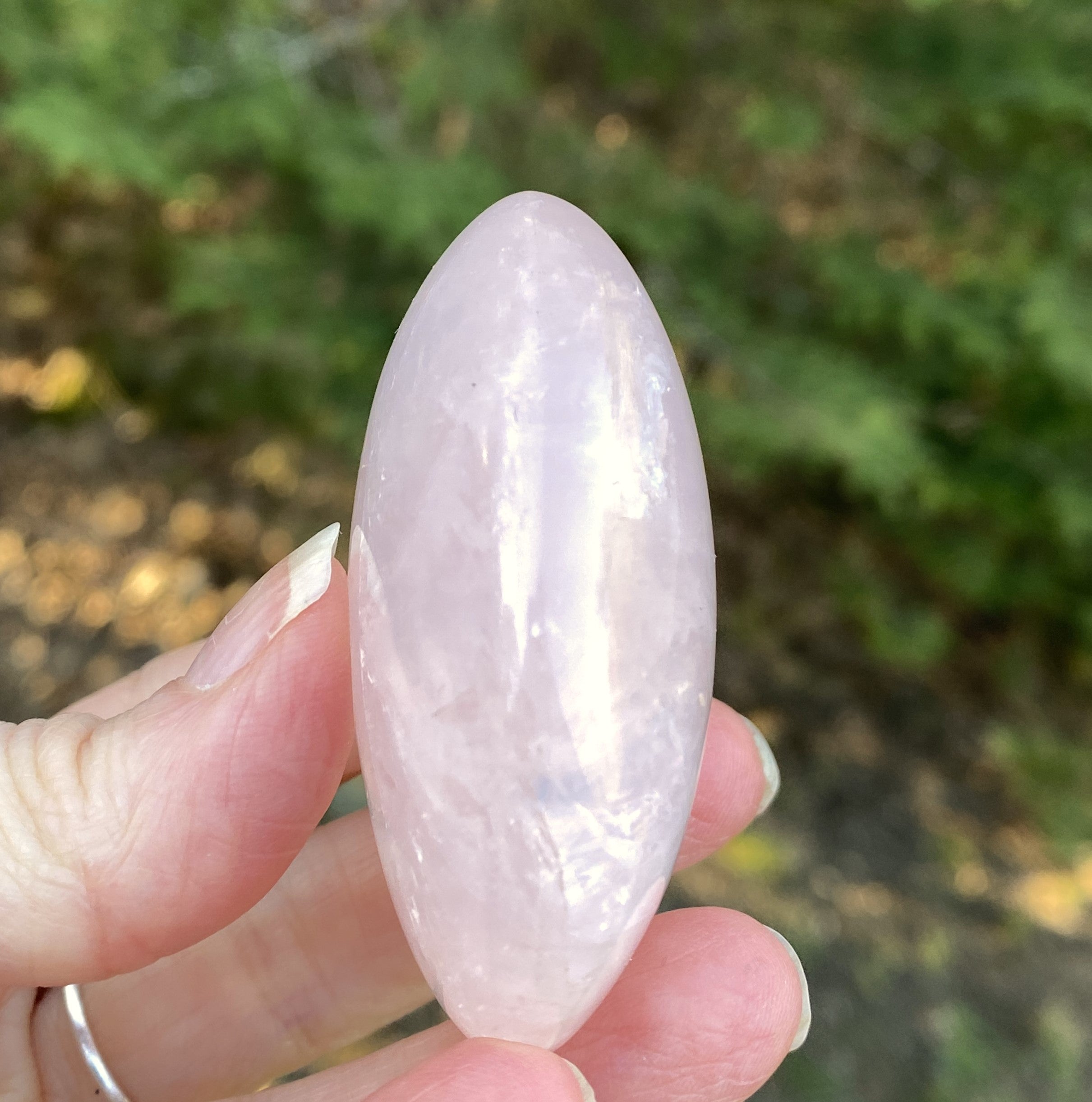 Rose Quartz  Palm Stone  Pink  Love Compassion 31450S