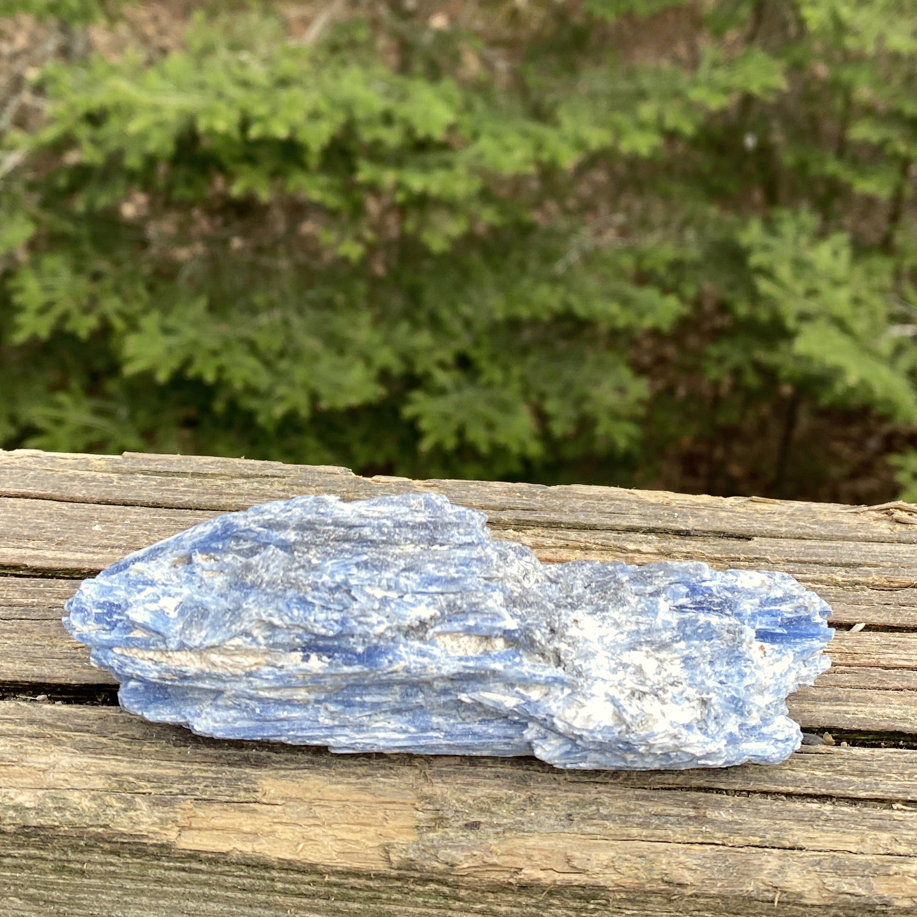 Blue Kyanite Quartz  Raw Piece Specimen  Attunement Meditation 31445S