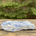 Blue Kyanite Quartz  Raw Piece Specimen  Attunement Meditation 31445S
