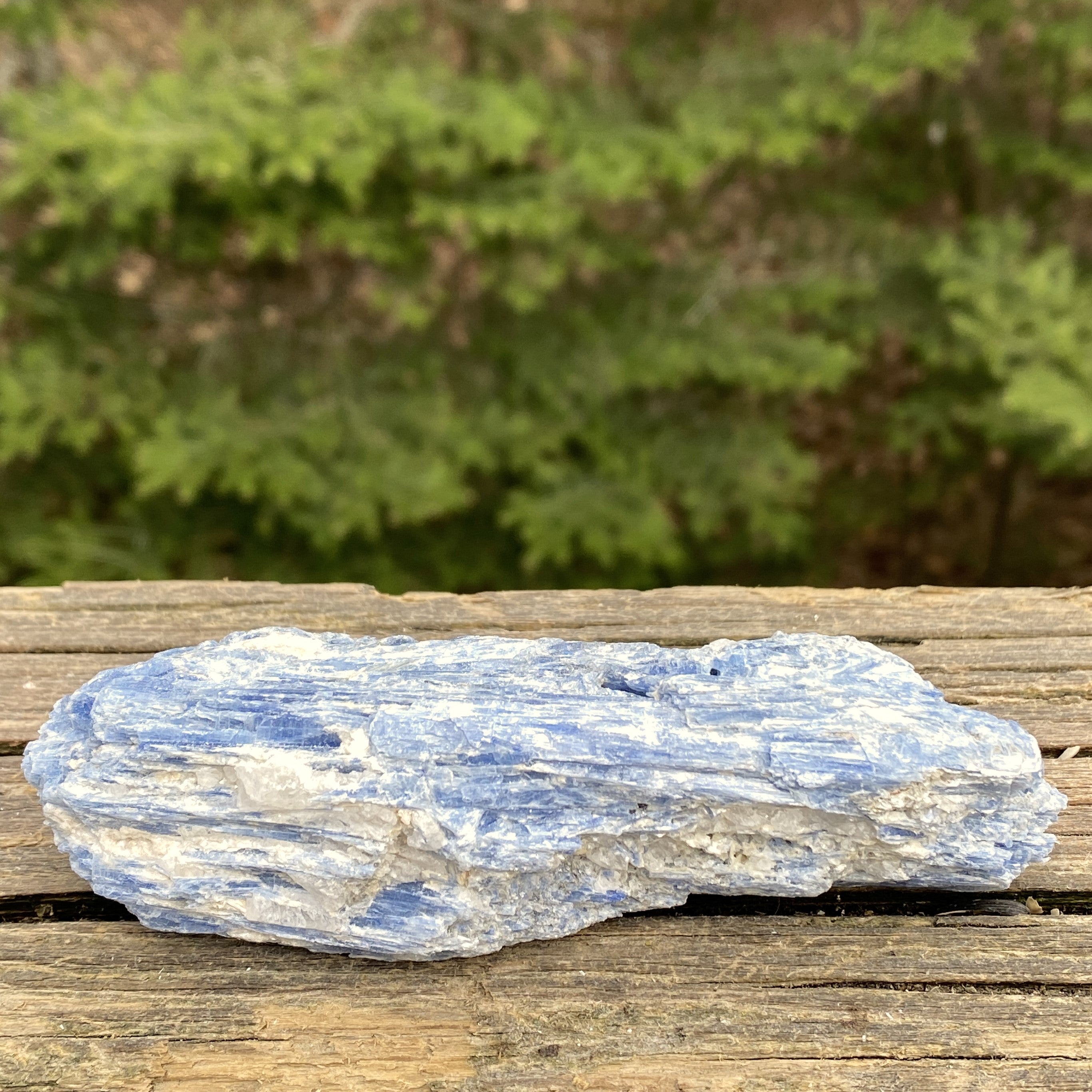 Blue Kyanite Quartz  Raw Piece Specimen  Attunement Meditation 31445S