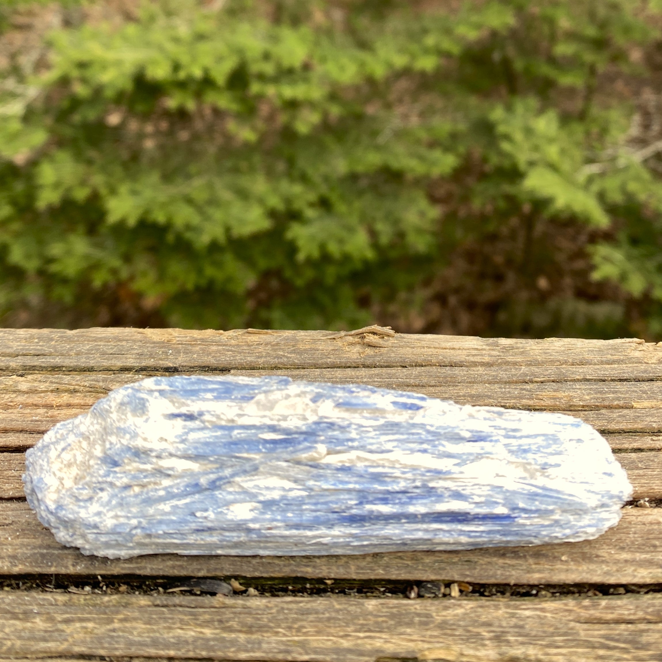 Blue Kyanite Quartz  Raw Piece Specimen  Attunement Meditation 31446S