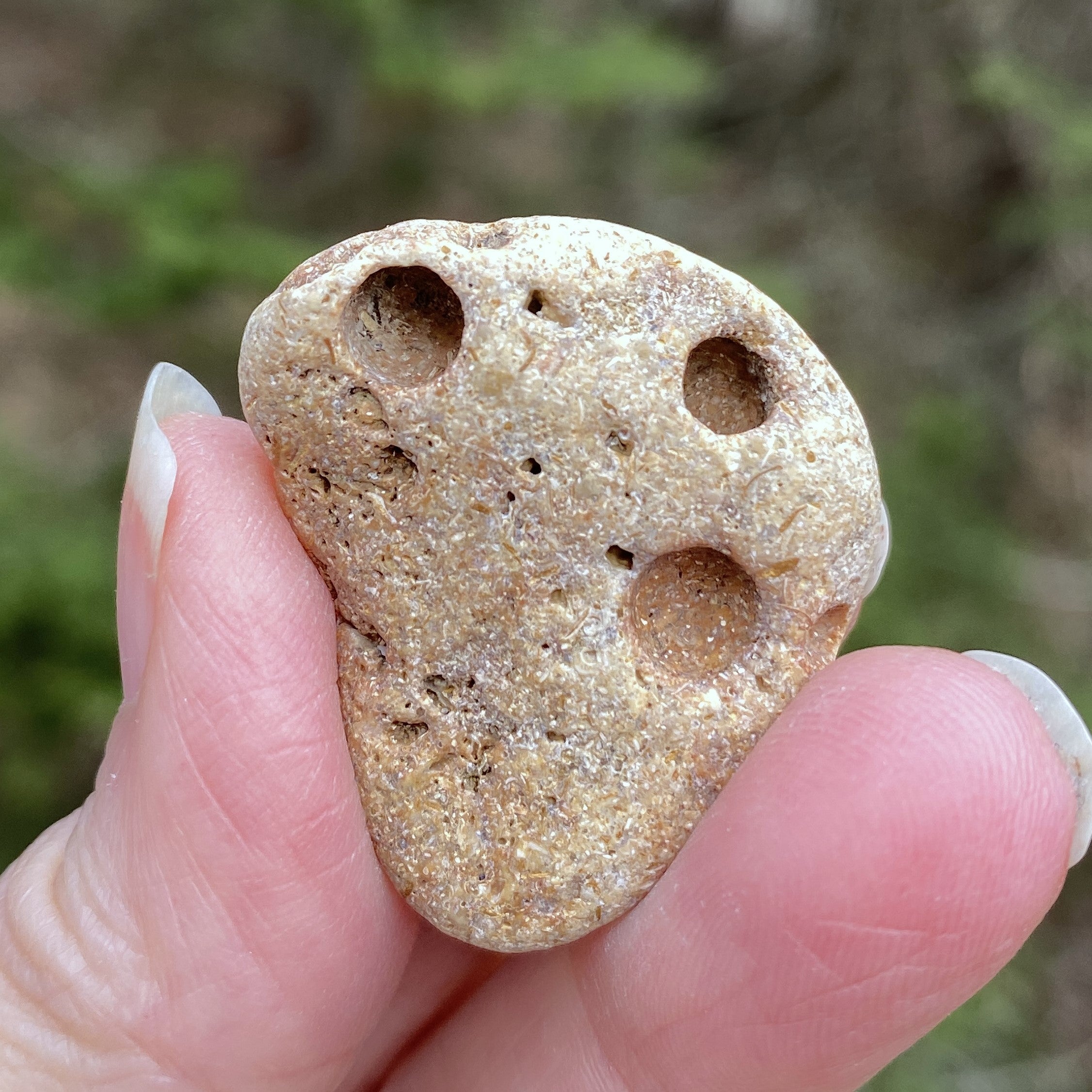 Hag Stone - Pocket Stone - USA - Grounding Balance Protection 31441S