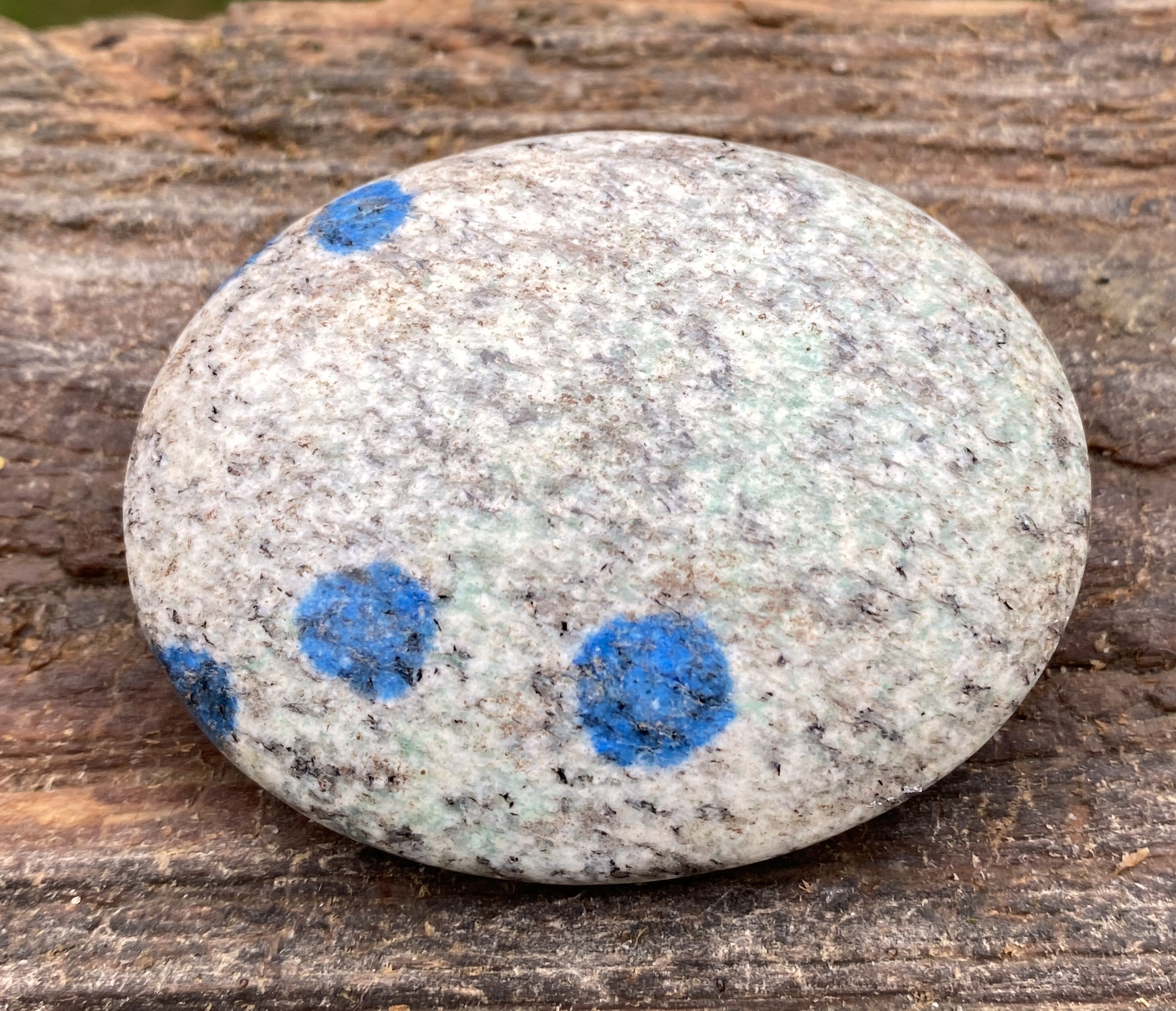 K2  Jasper Palm Stone  Blue  Communication Intuition 31455S