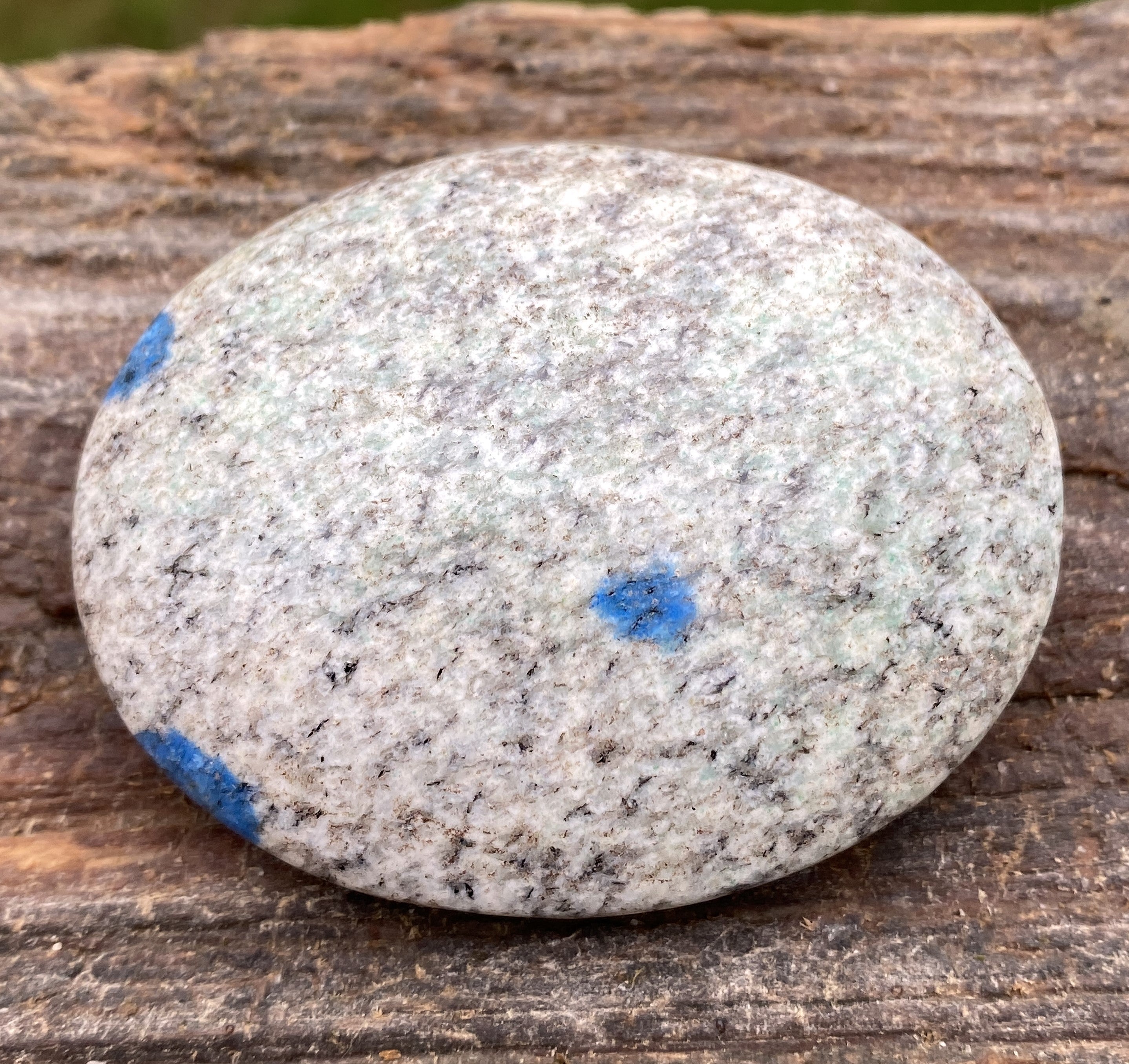 K2  Jasper Palm Stone  Blue  Communication Intuition 31455S